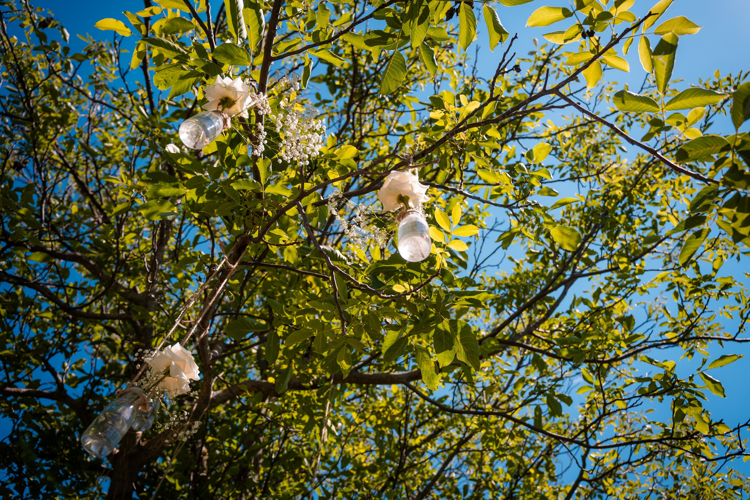 Cununie Mirela & Carol
