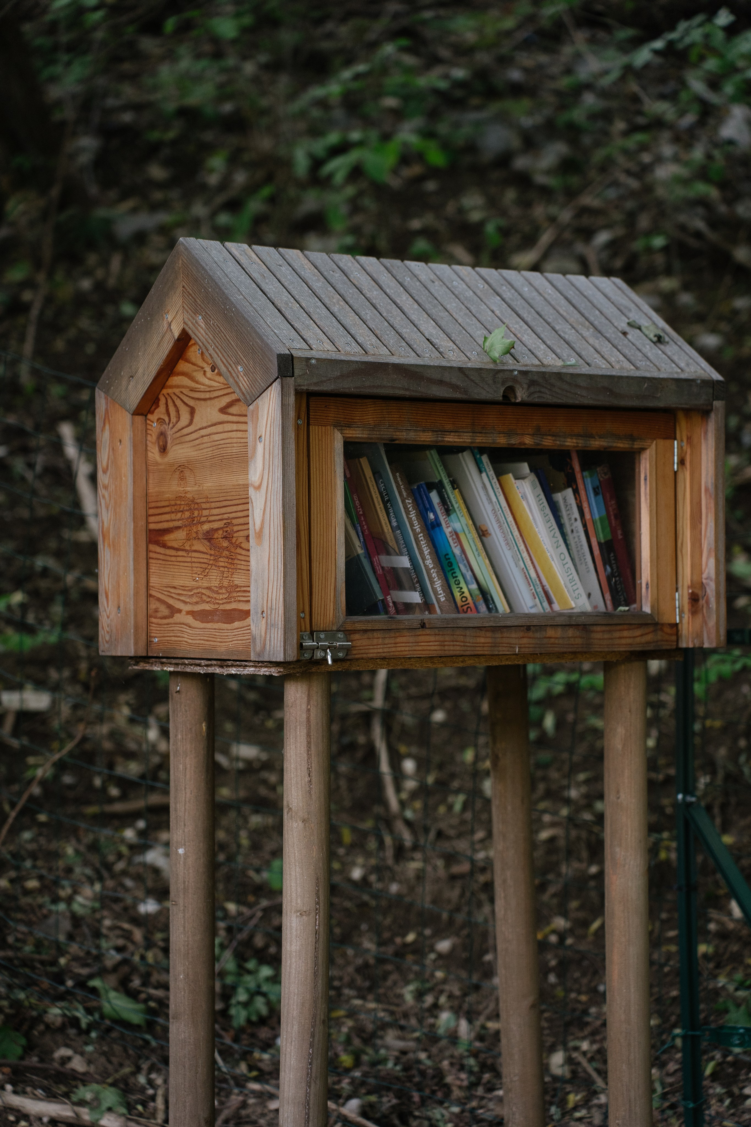 Airbnb. Patricia Morenci — Mountain Adventures for the Wild at Heart