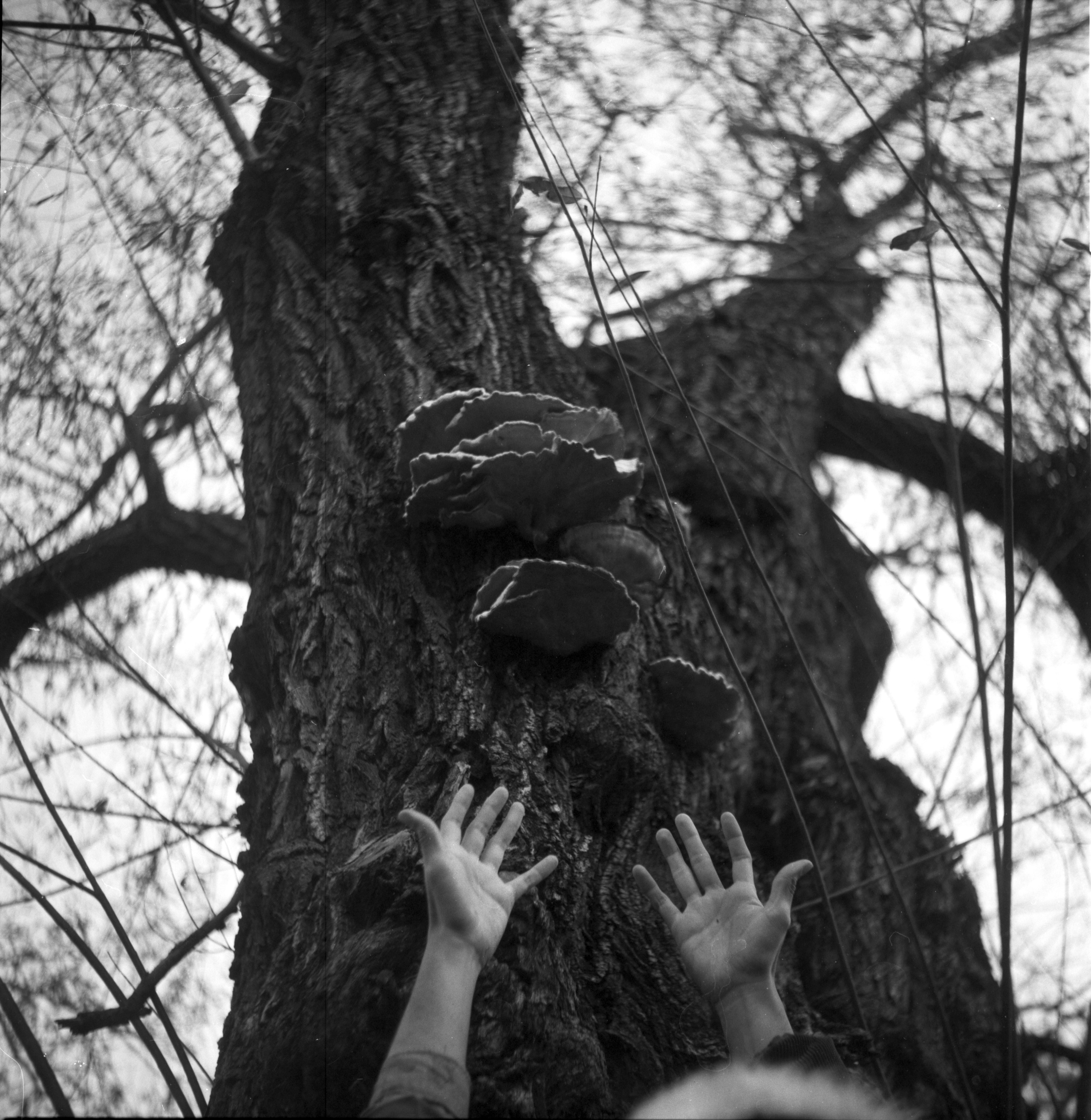 When it is day for angels in heaven, it is night for people on earth. Natalia Parfenova visual artist film photographer