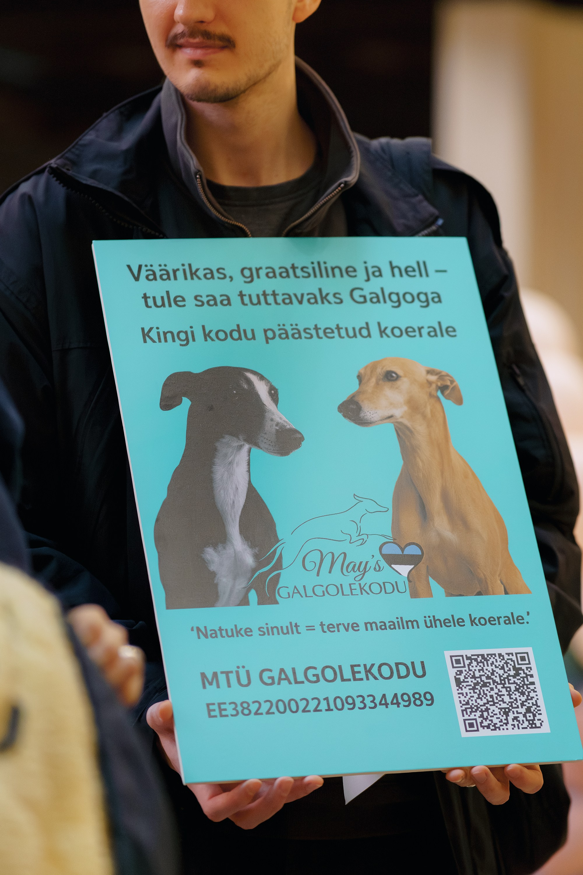 GalgoTreff / Solaris keskus 16 november. Kat Laisaar — Pet photographer in Tallinn