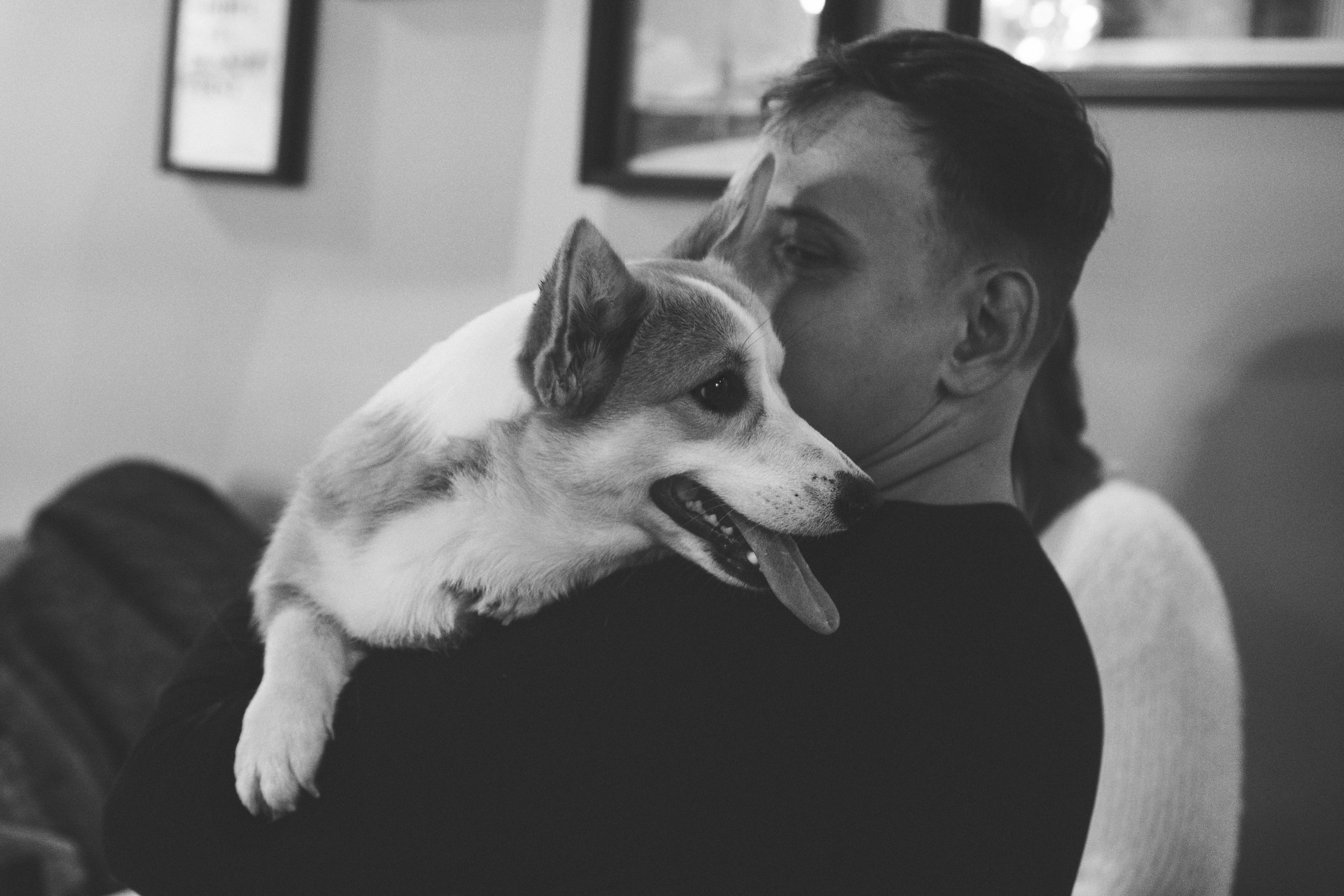 Maarika, Jegor and their Luna, Pembroke Welsh Corgi. Kat Laisaar — Pet photographer in Tallinn