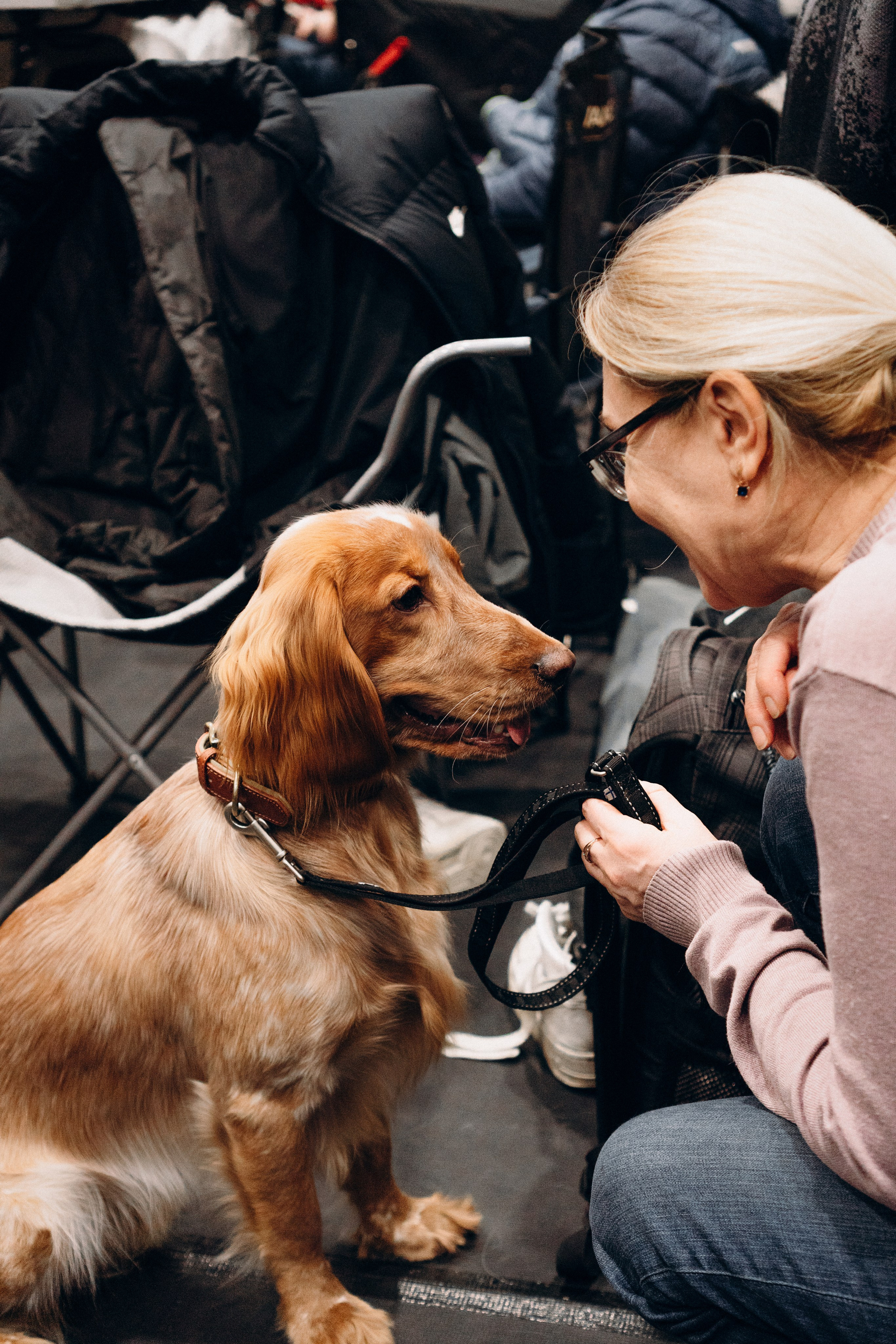 Pärnu dog weekend photo report. Kat Laisaar — Pet photographer in Tallinn