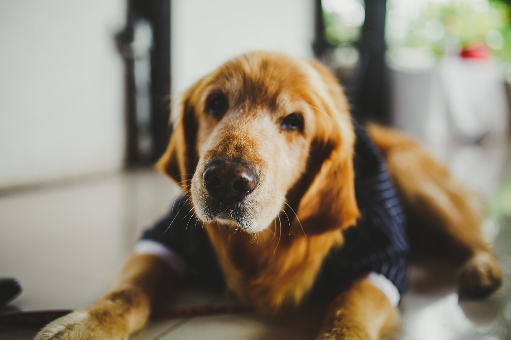 Sofi & Fer. Wedding and family photographer in Mexico City
