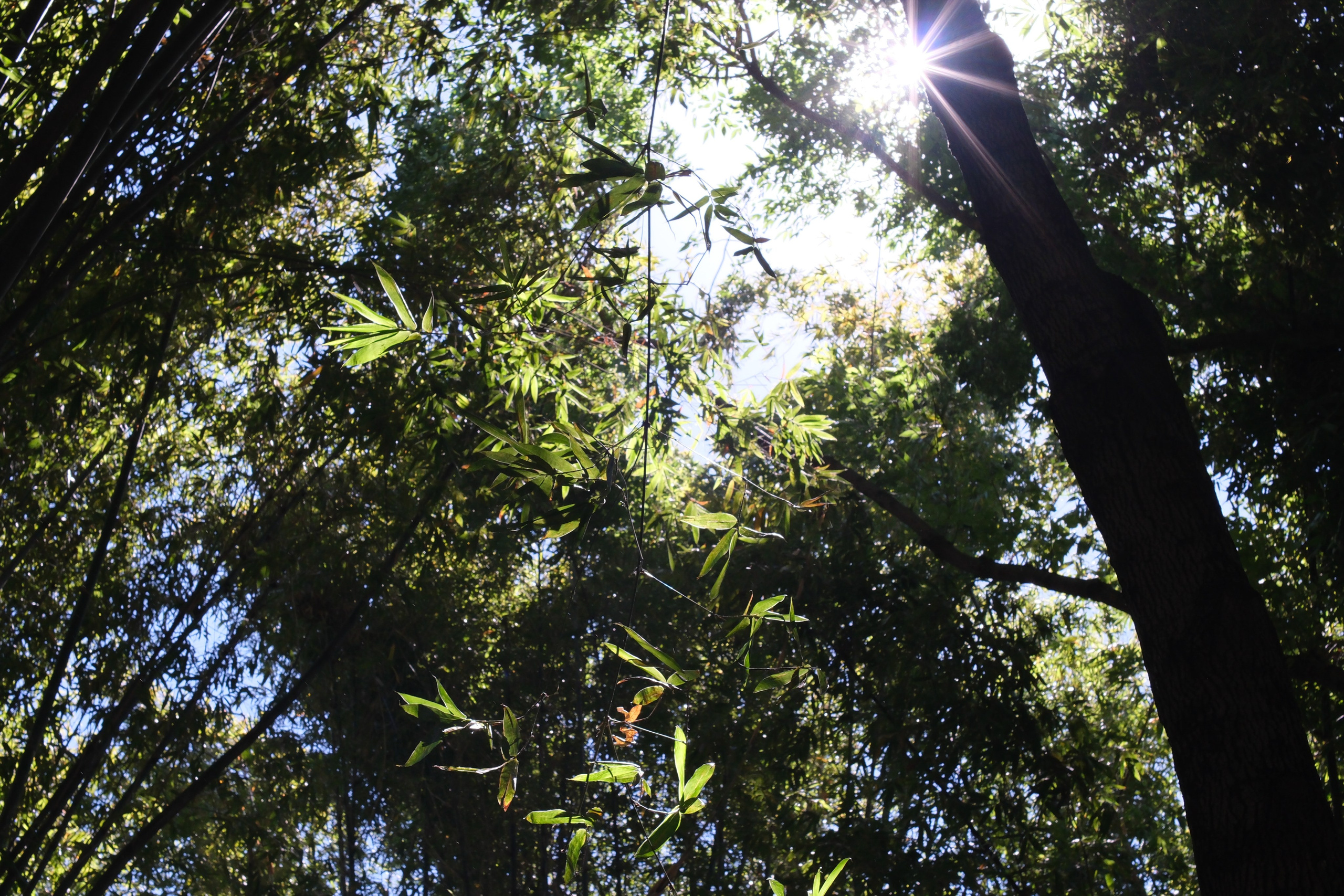 Gigi & Luis / Cuernavaca. Wedding and family photographer in Mexico City