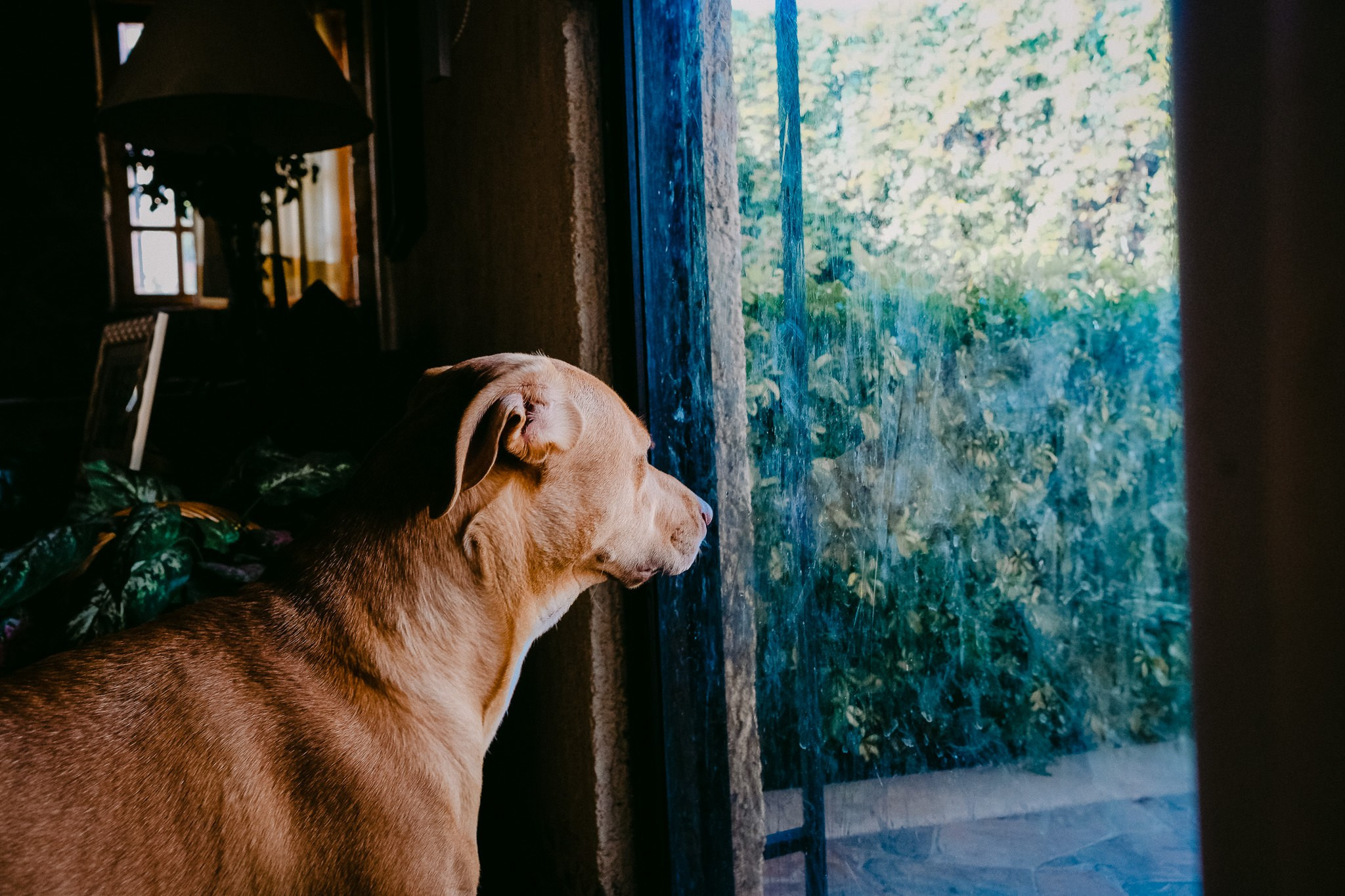 Pablo Bautizo. Wedding and family photographer in Mexico City