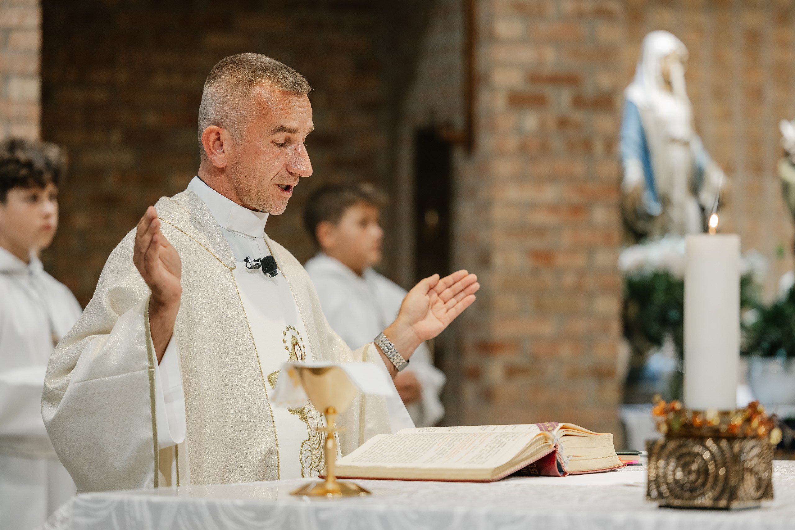 09.06.2025 Wedding. Wedding family event photographer in Chicago Nick Yushevich