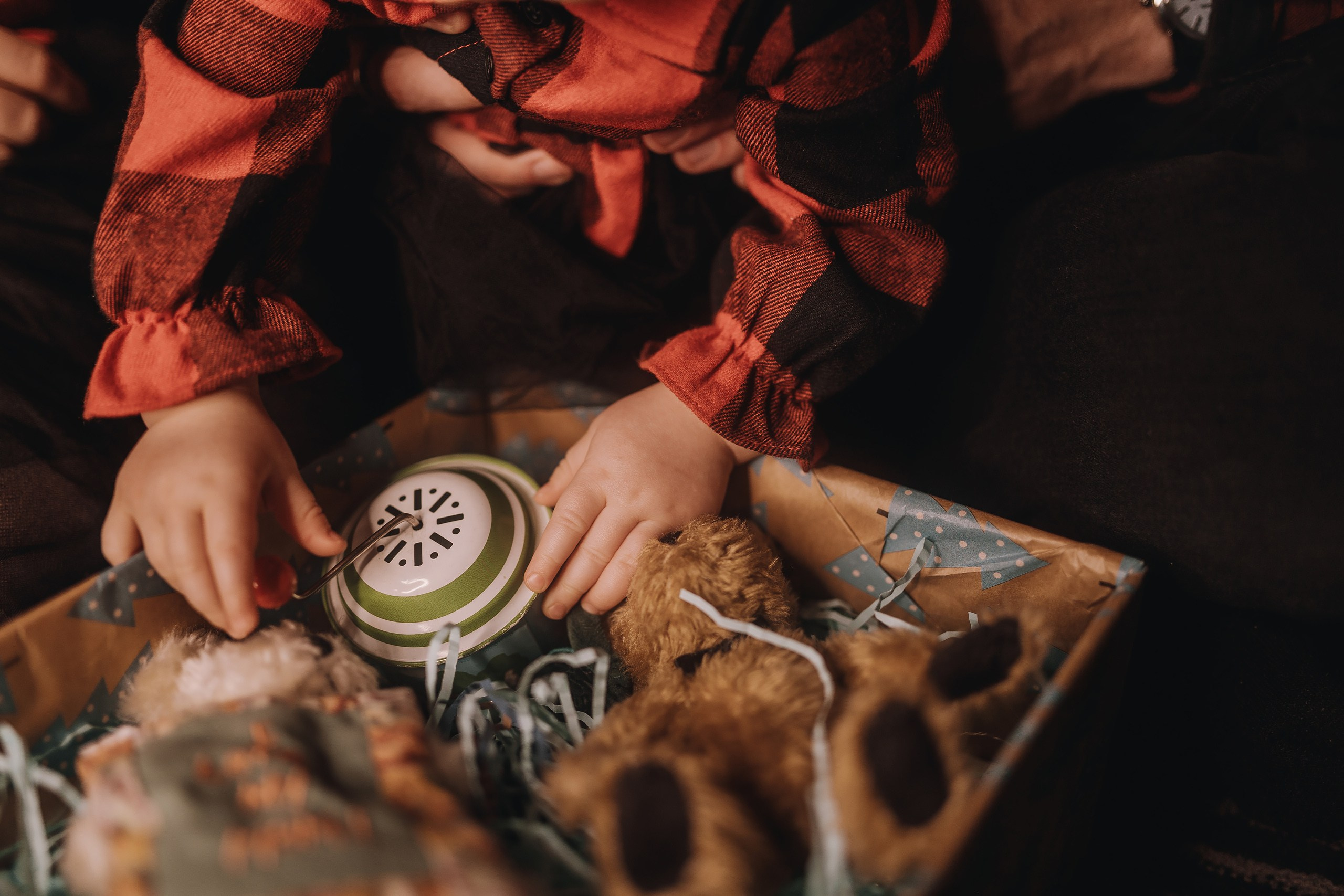 25.11.2023 Christmas Photoshoot 1. Wedding family event photographer in Chicago Nick Yushevich