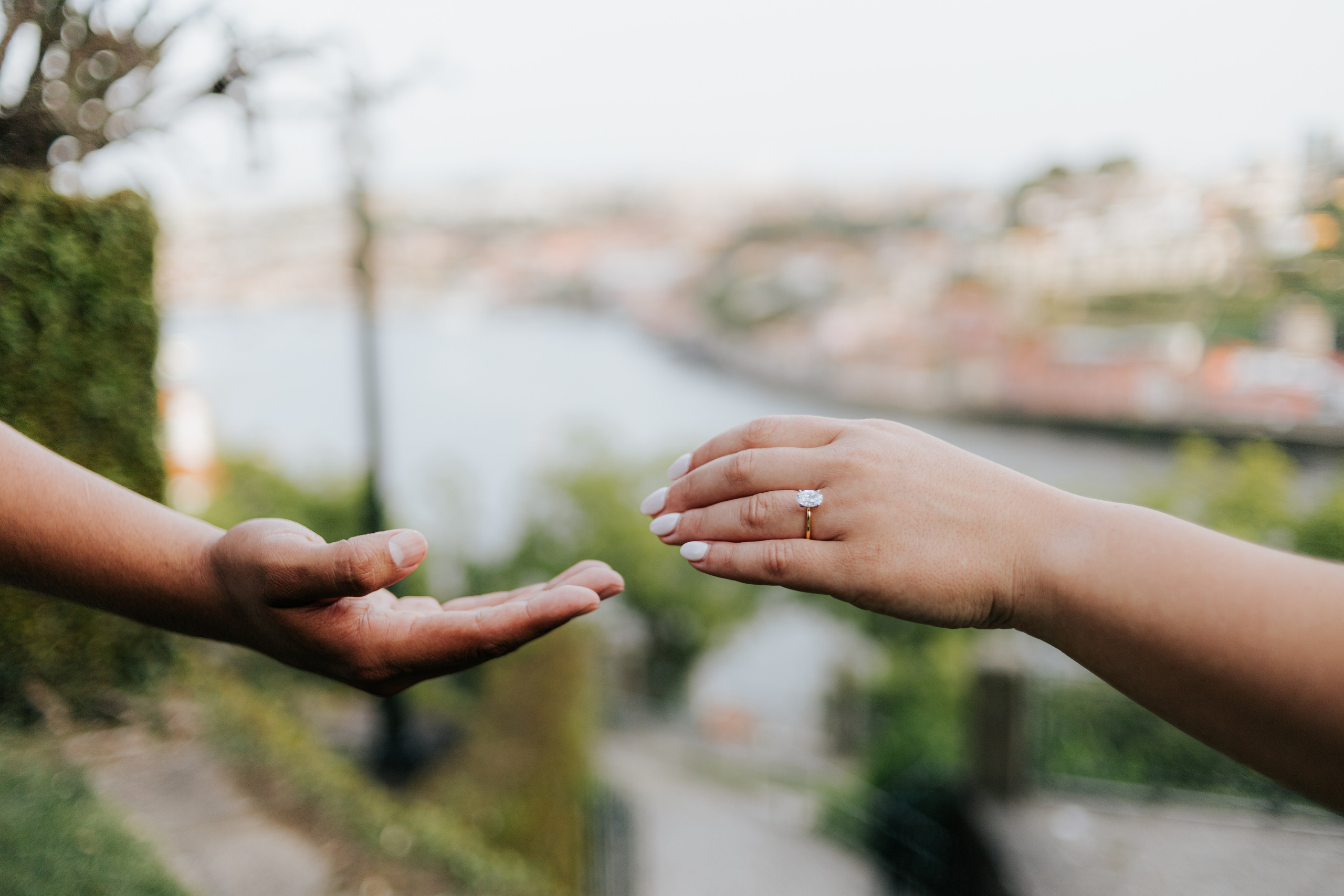 Wedding Proposal / Ian & Kaitlin. Philipe Fotografia