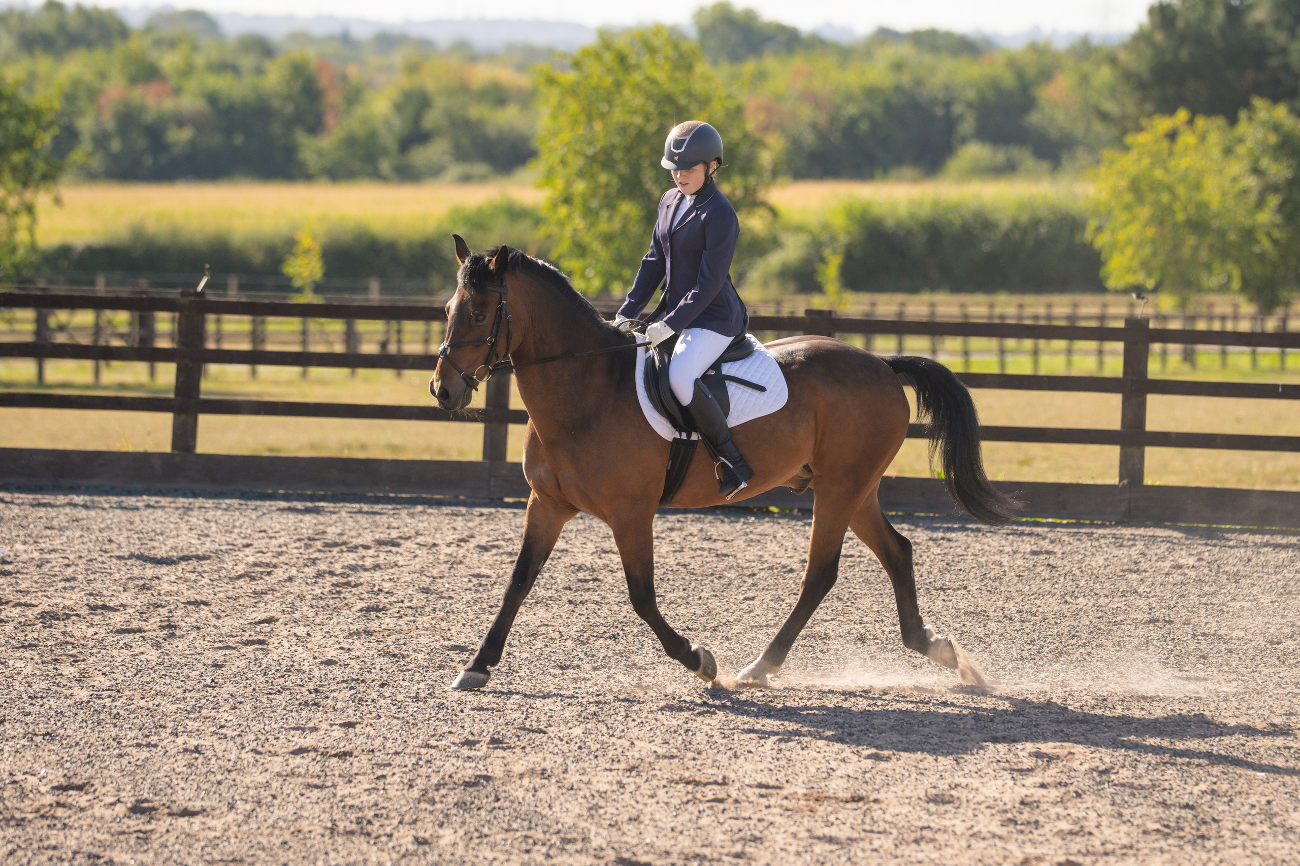 Dressage. Leicestershire Equine Photography by El | Authentic Equine Portraits & Events