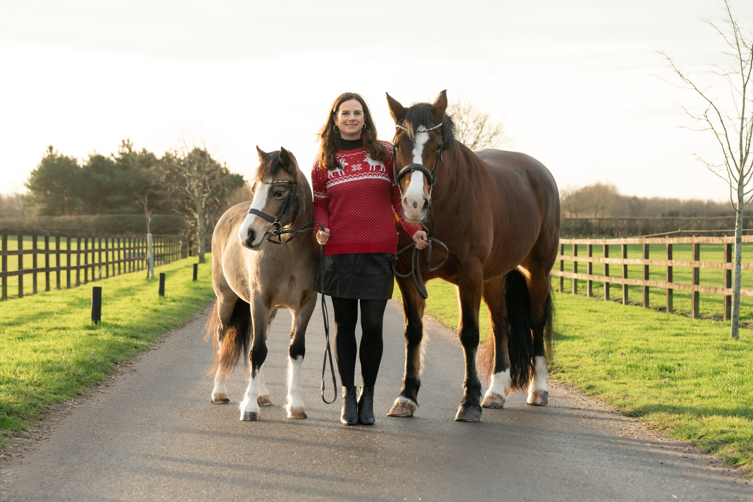 Equine Photography Portfolio | Leicestershire Horse Portrait Photographer. Leicestershire Equine Photography by El | Authentic Equine Portraits & Events