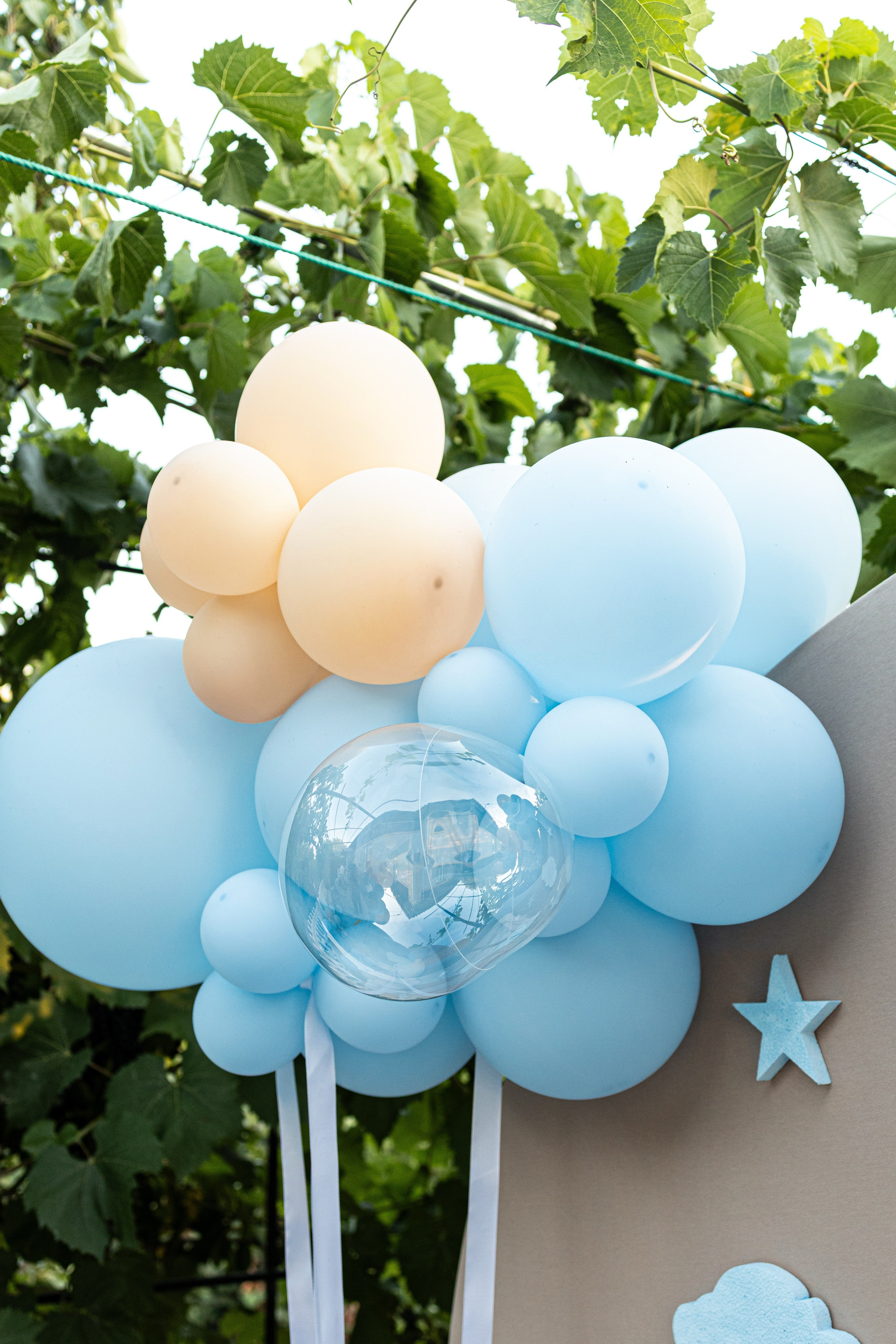 Daniel. Fotograful evenimentului tău