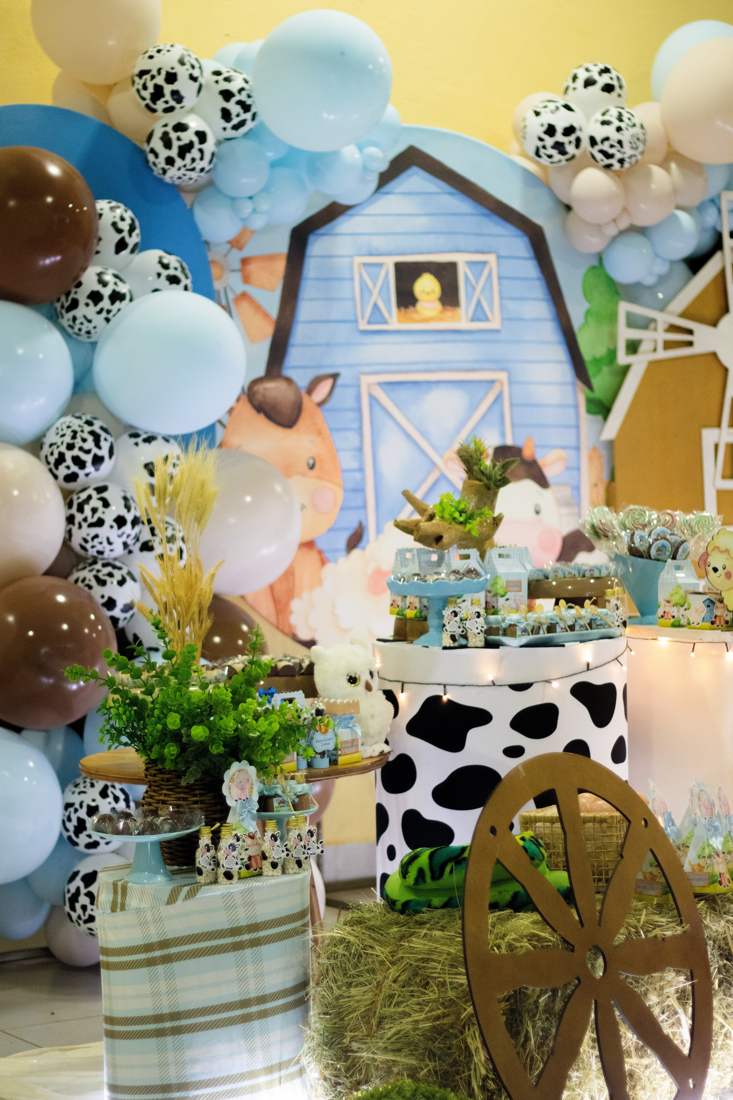 Eventos. FOTÓGRAFA | GOIÂNIA