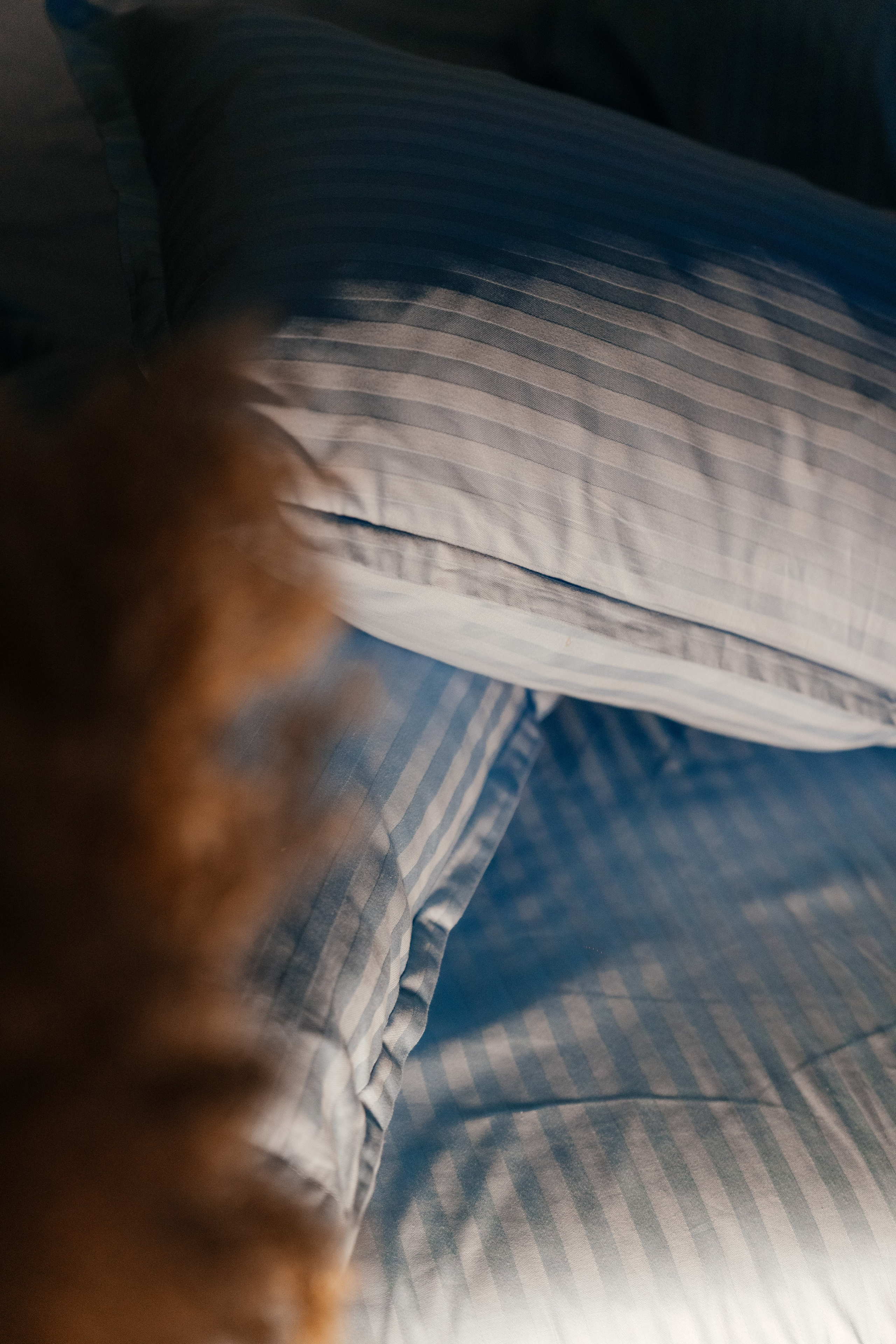 Коммерческая съёмка для текстильной фабрики. Фотограф в Узбекистане и Самарканде Джасур Марупов