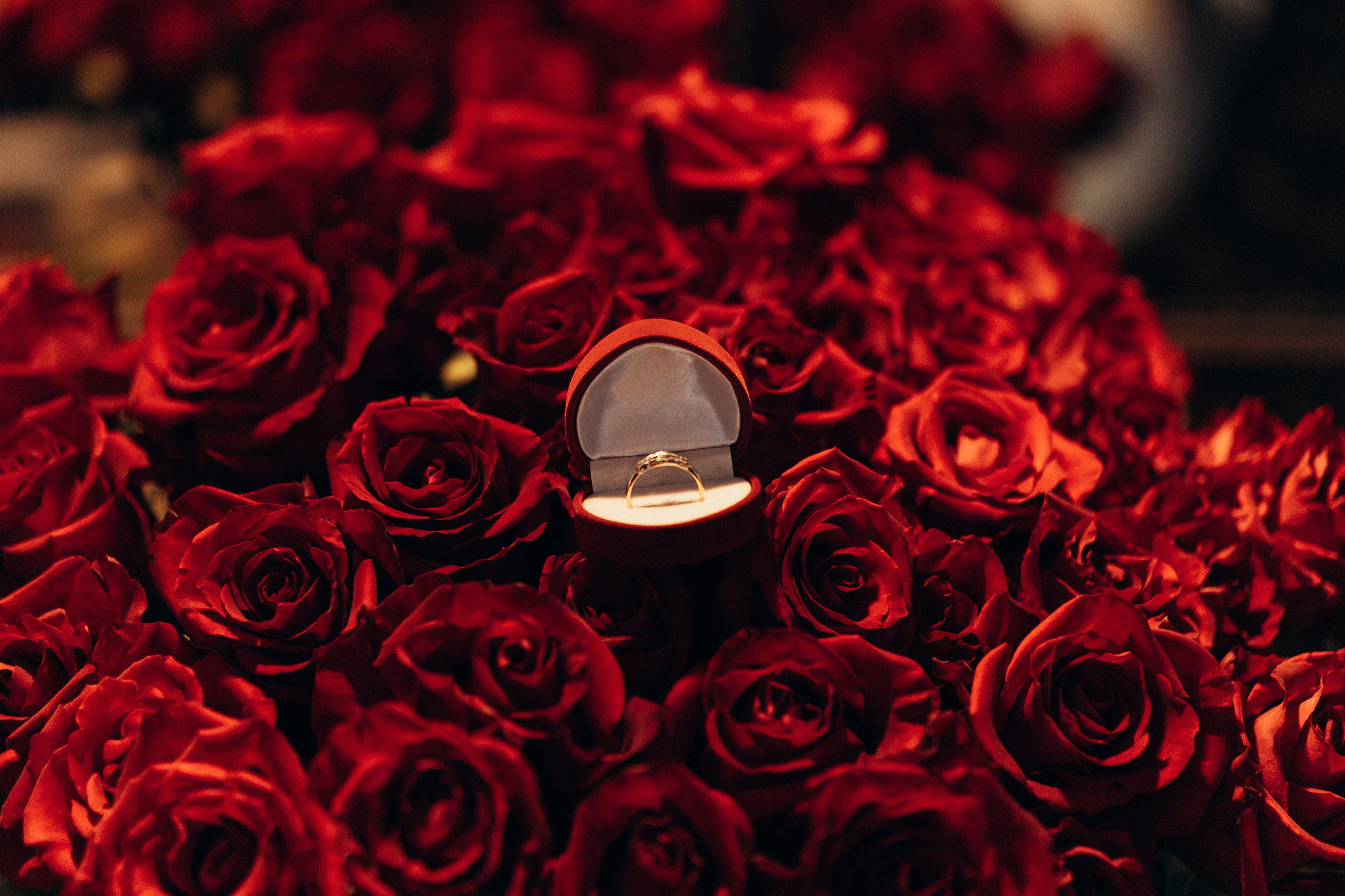 Sunset Embrace. Fotograf Katowice – sesje indywidualne, rodzinne, ślubne