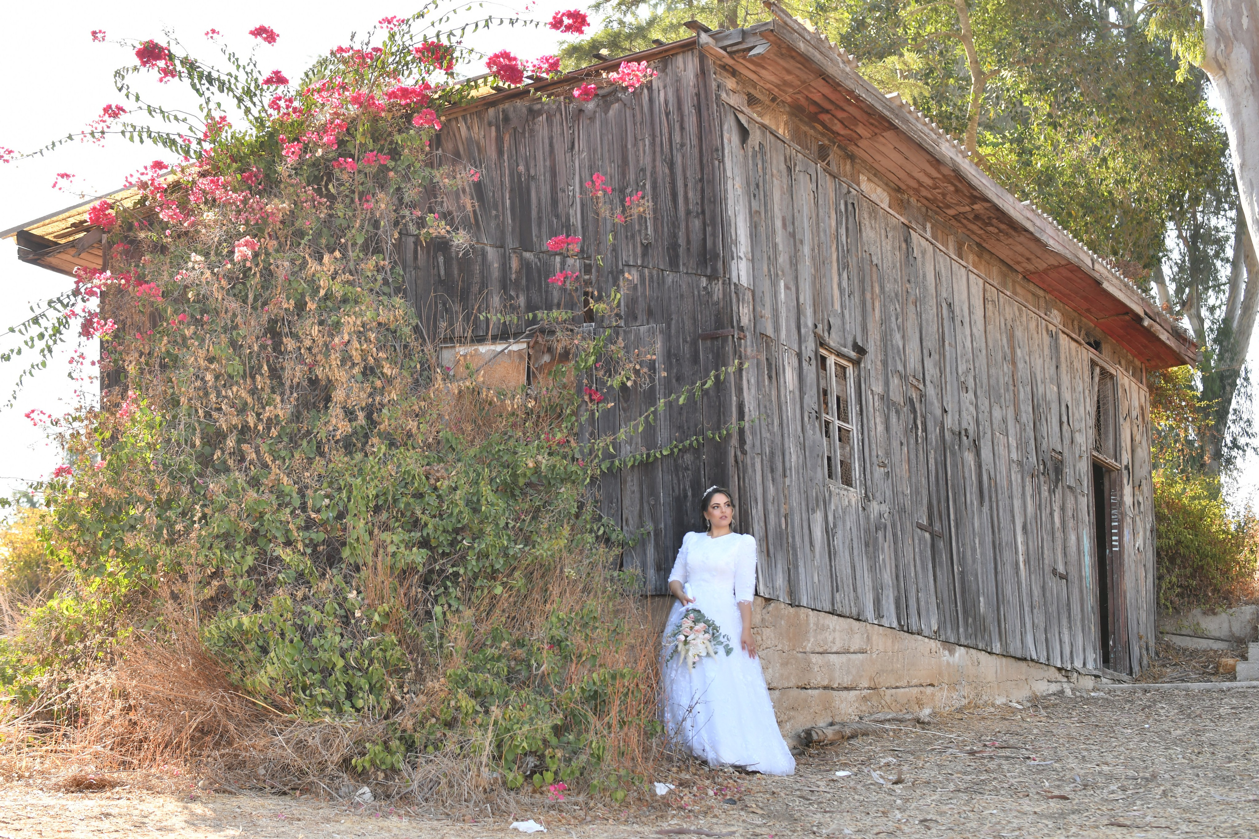 Efrat & Yosef. Wedding and events photographers Studio Shalom