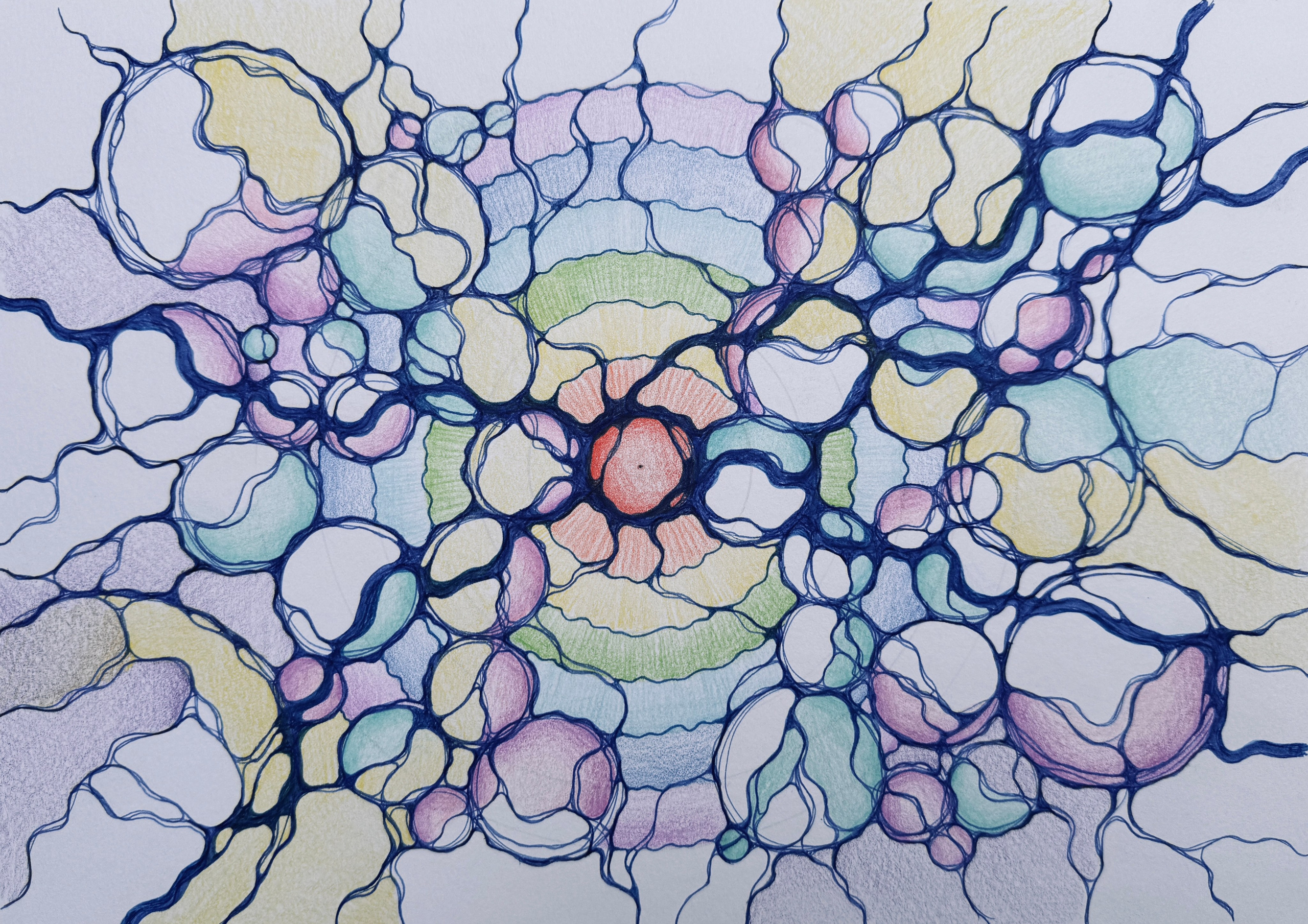 Moje slike. Numerologija. Nevrografika. Delavnice