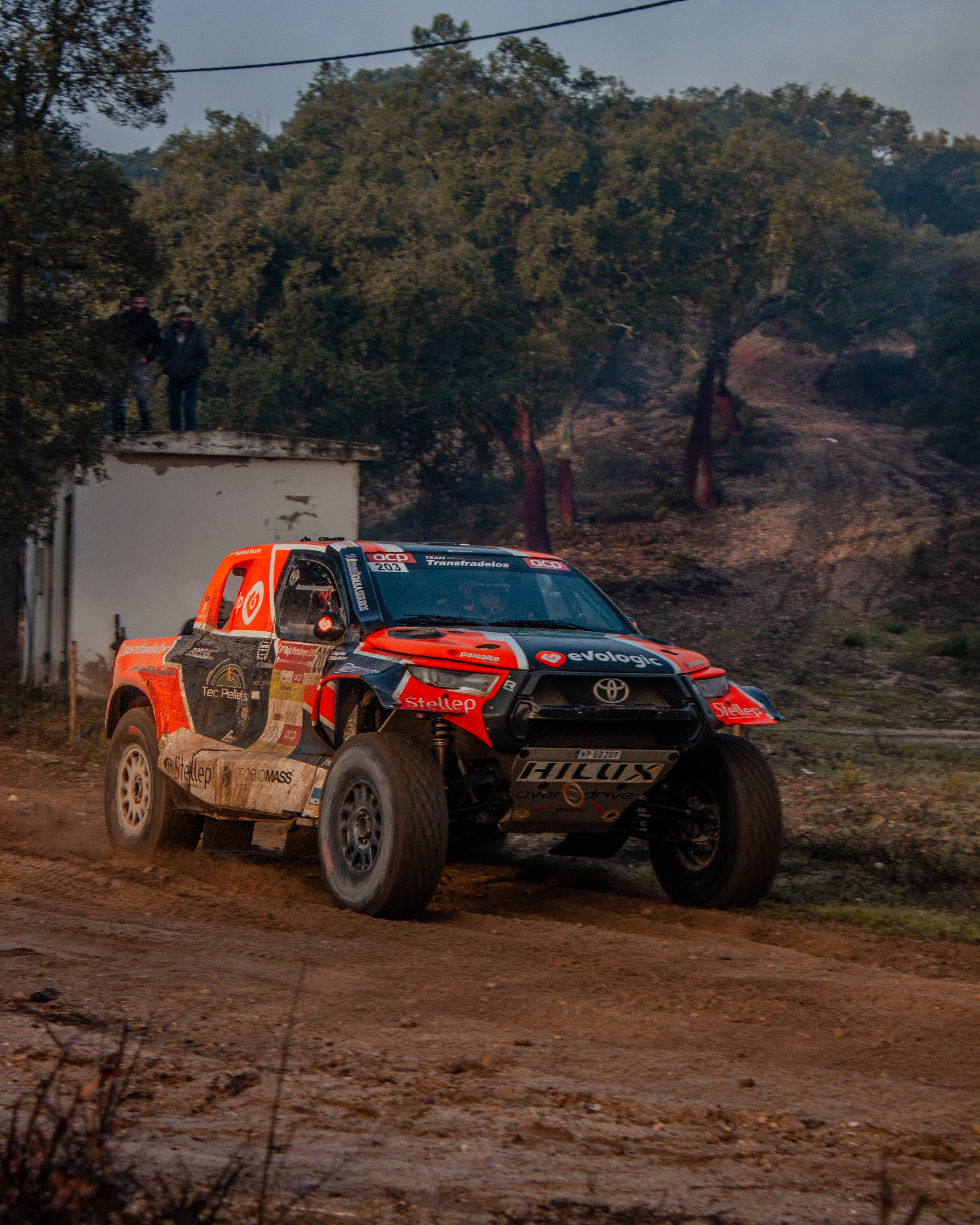 #203 Tiago Reis / Valter Cardoso
