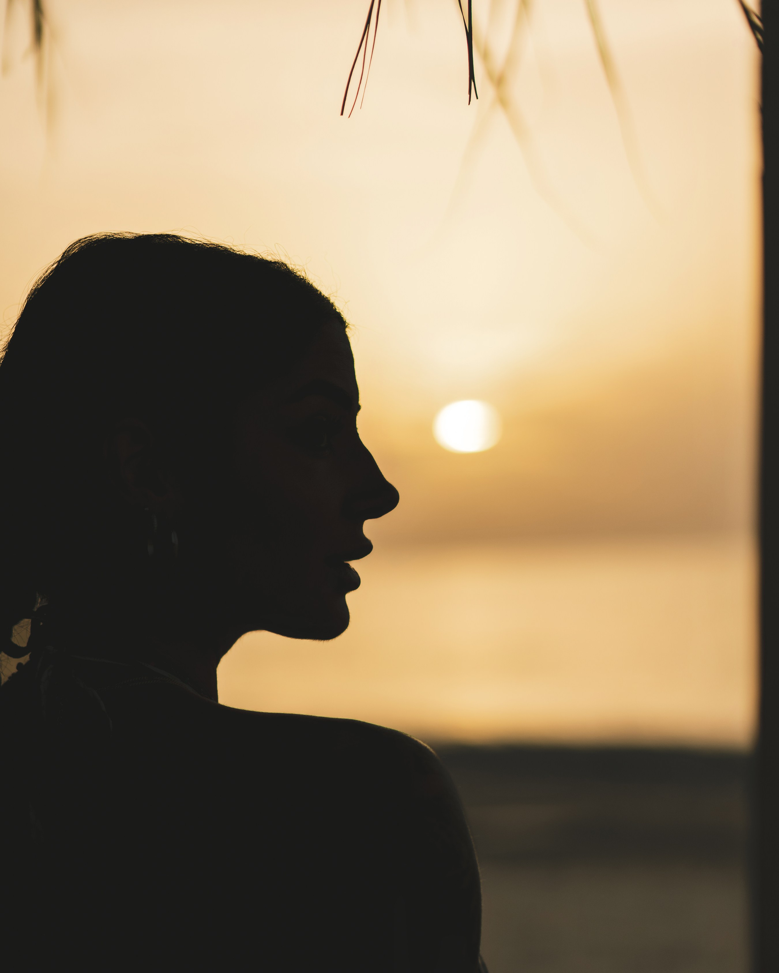 Ritratti. Frank Prochilo Photography