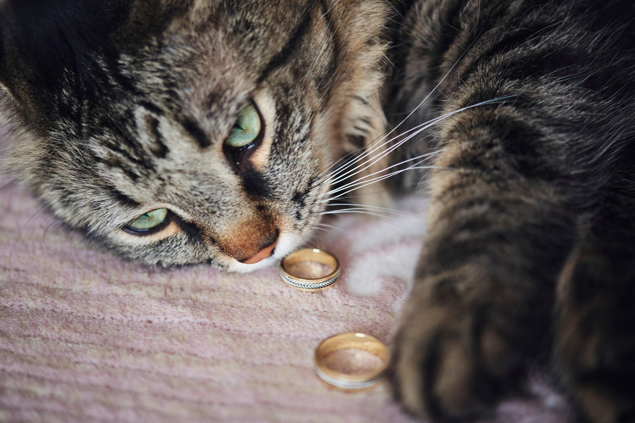 Mihai & Iulia. Georgescu Alexandru Fotograf