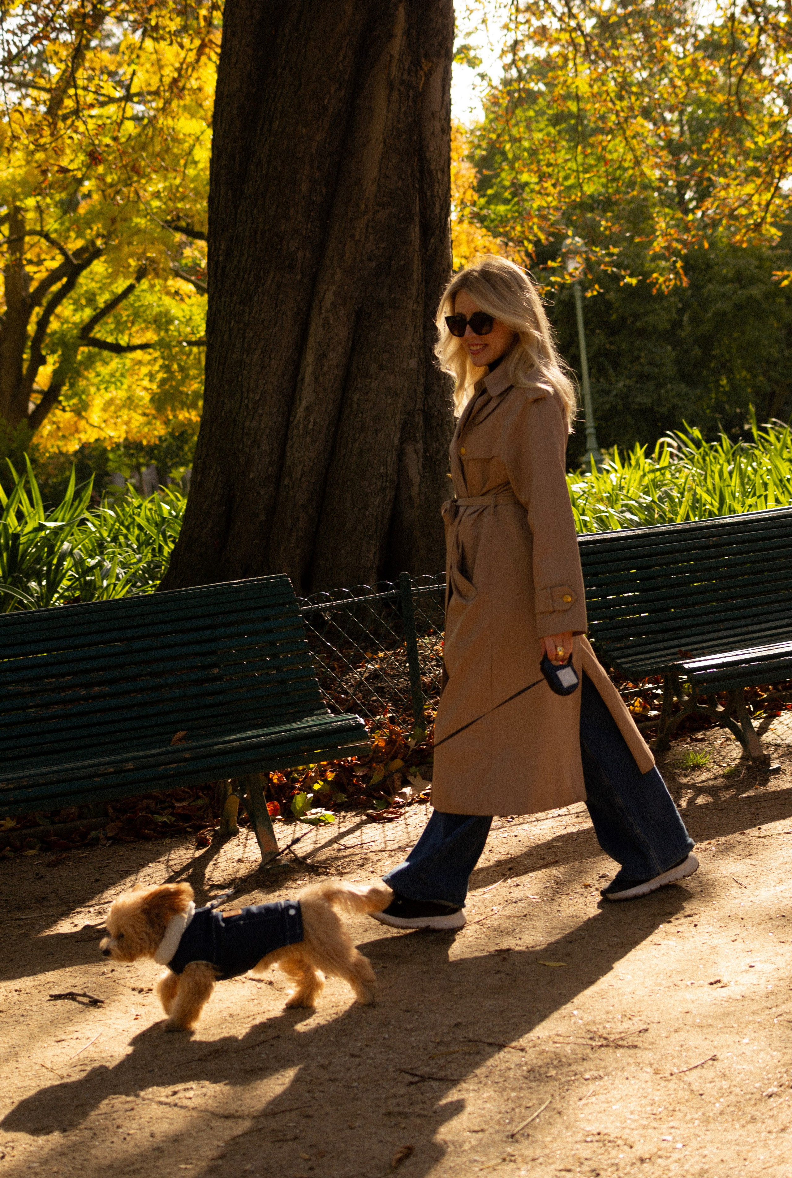Barney, Nastya et Kolya. Photographe animalier à Paris Anna Pereira