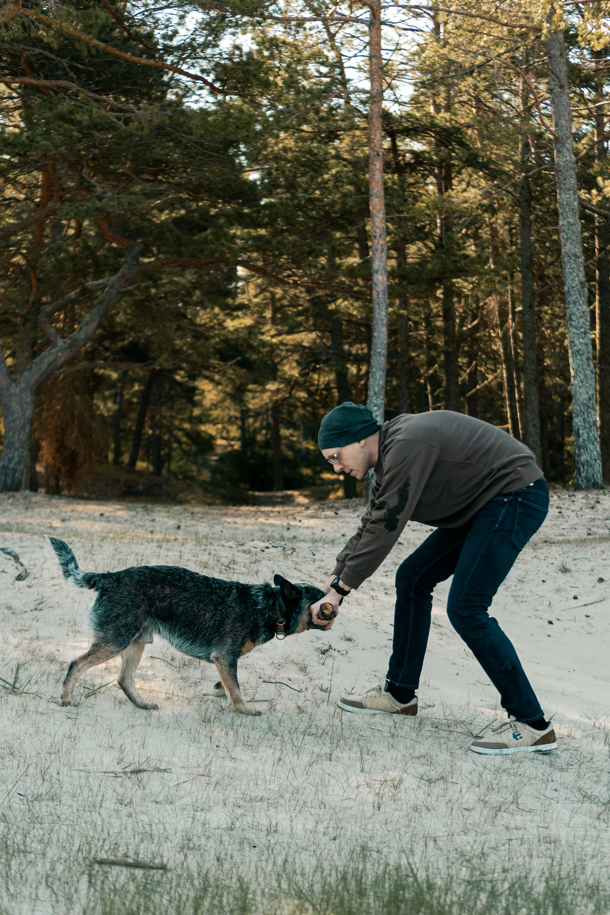 Oskar, Maria & Dmitrii. Kat Laisaar — Pet photographer in Tallinn