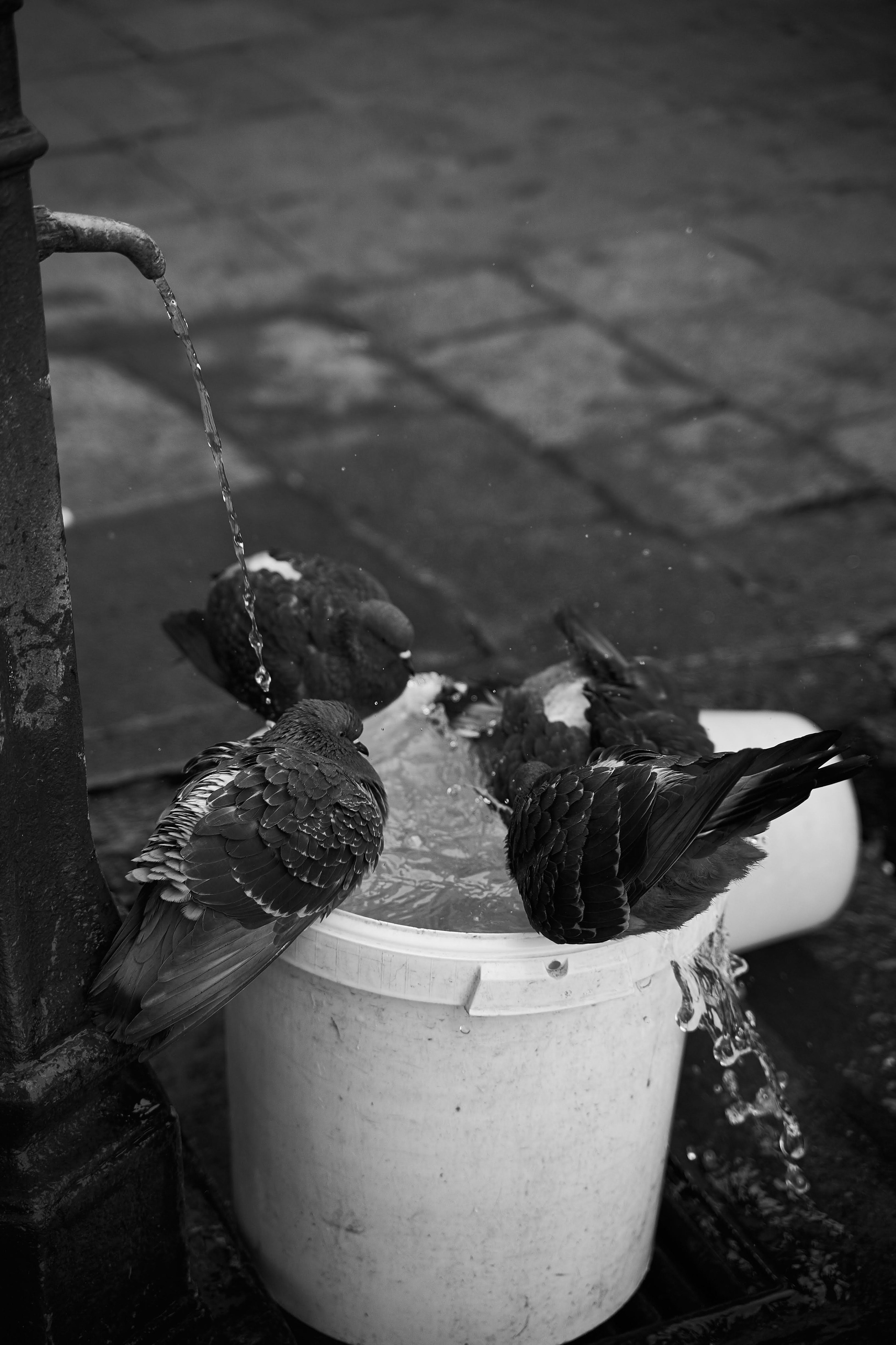 Reportage. Frank Prochilo Photography