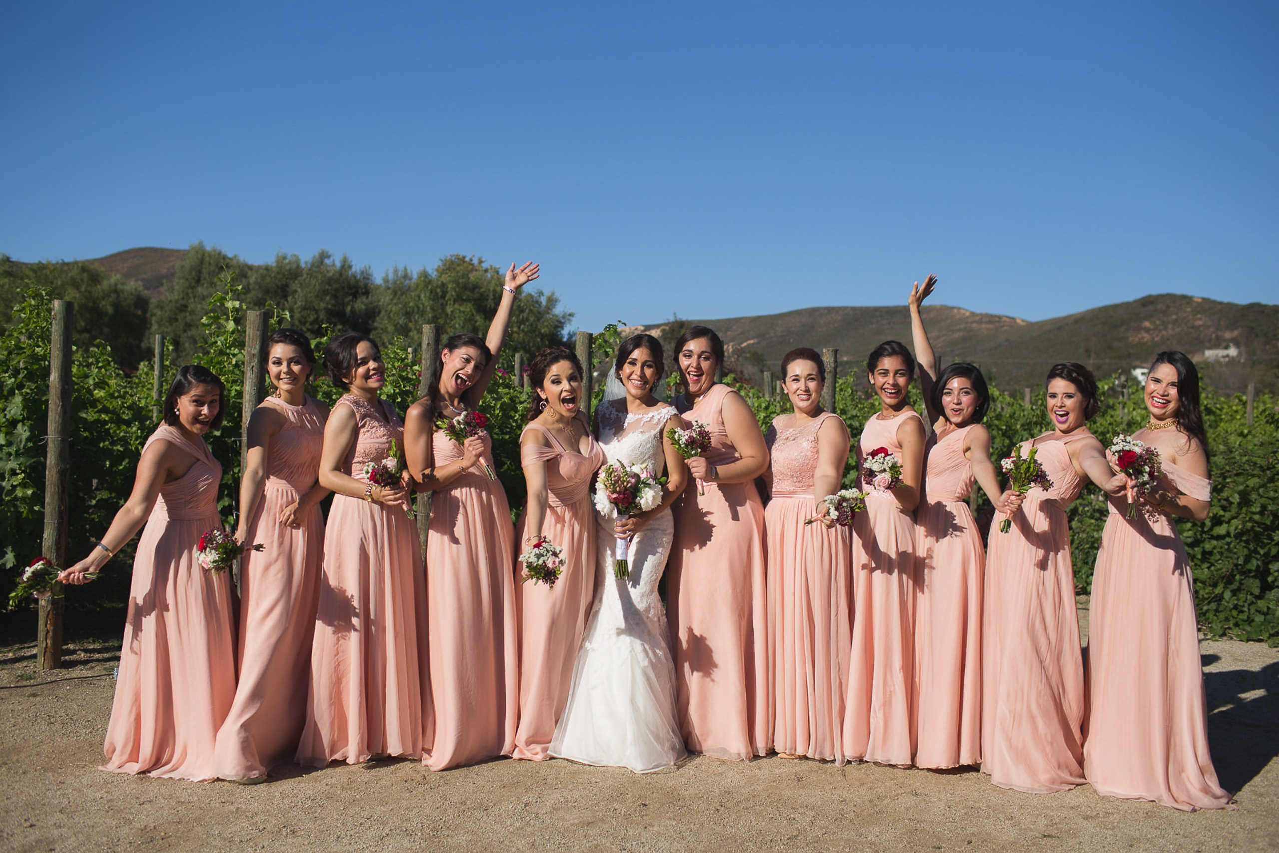 Valle de Guadalupe Boda Ilieana y Antonio. Estudio de fotografia en Tijuana