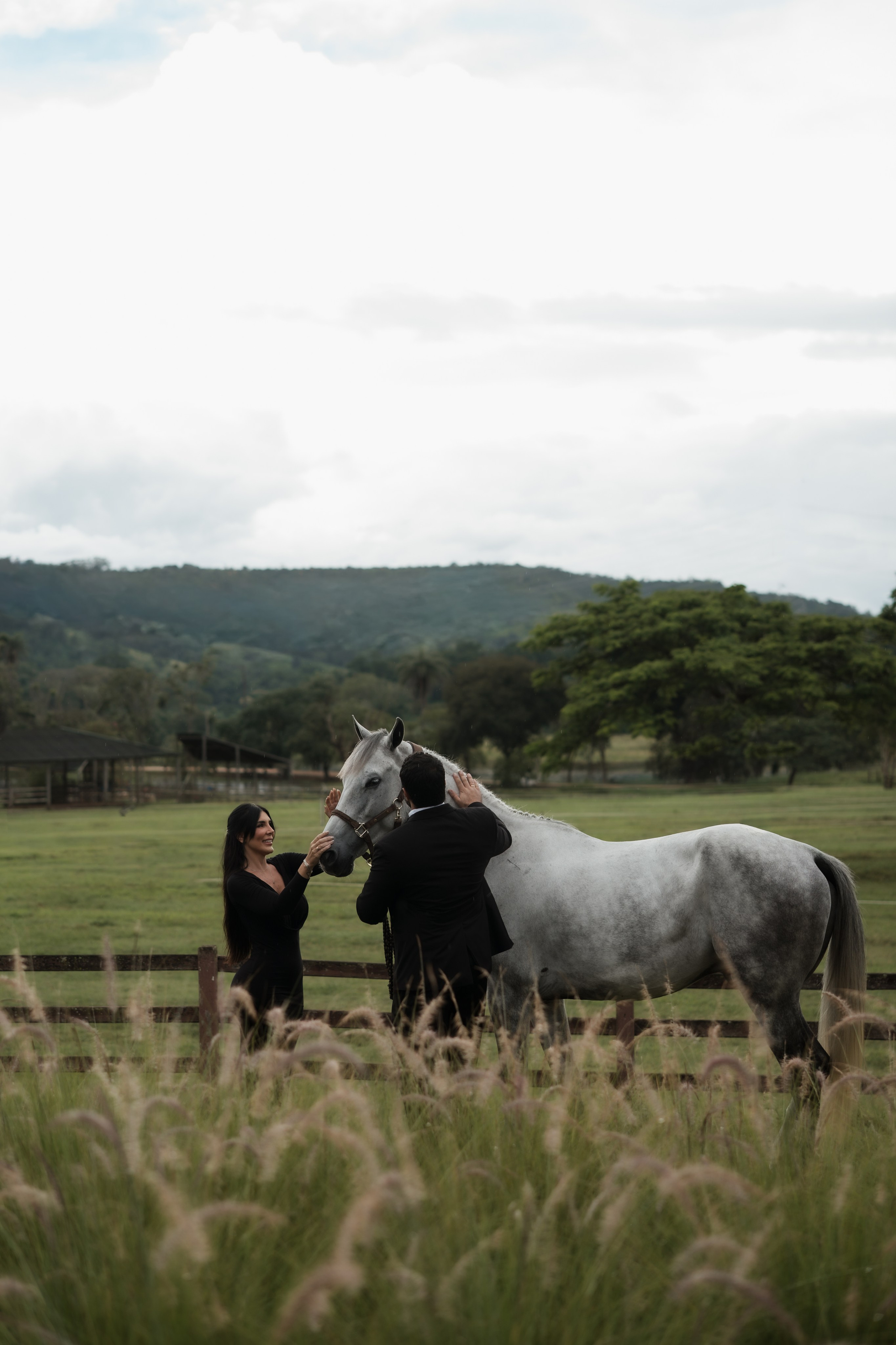 Ensaio de noivos com cavalo em campo aberto, com estética fine art e fotografia documental. Referência para casais que procuram ideias para pré-wedding diferente, elegante e conectado à natureza.