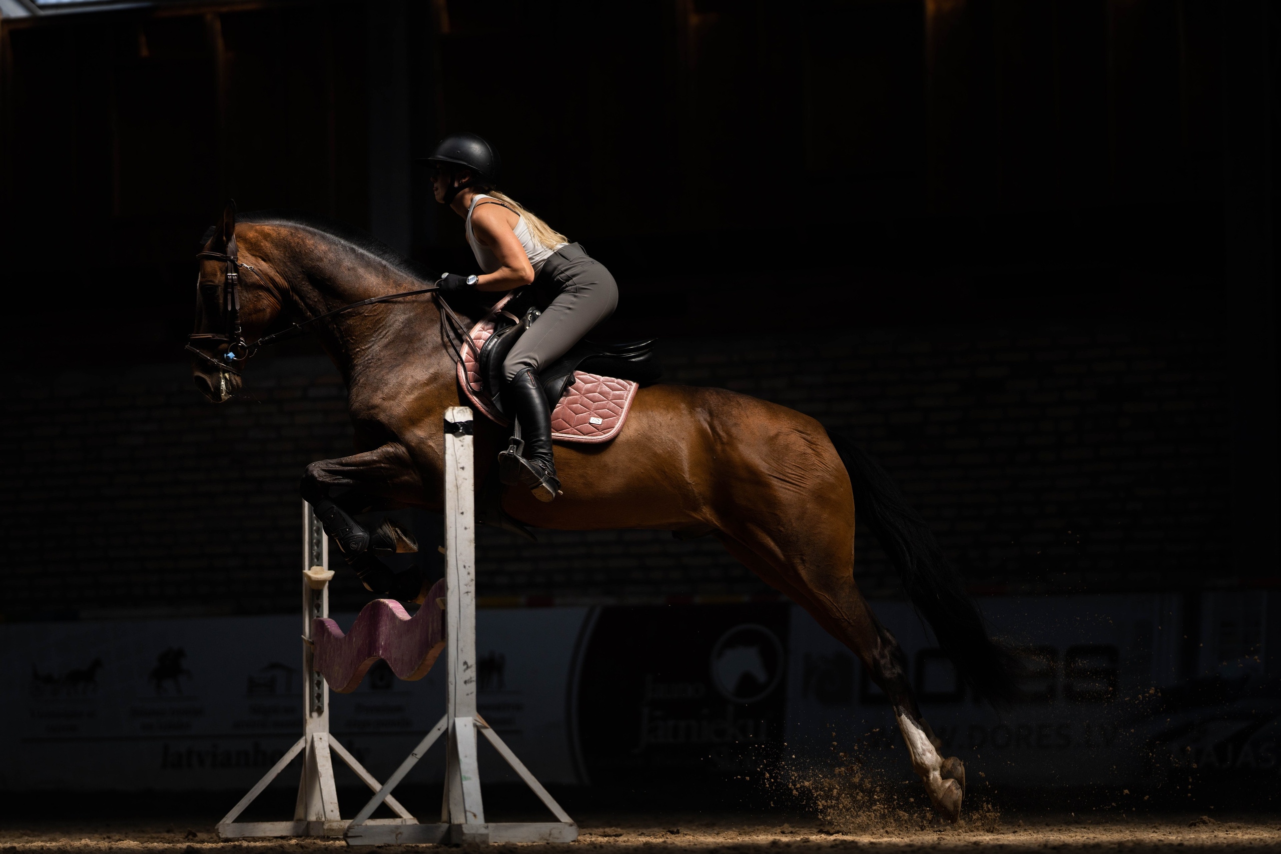 Equestrian sports. Sports and portrait photographer in Riga