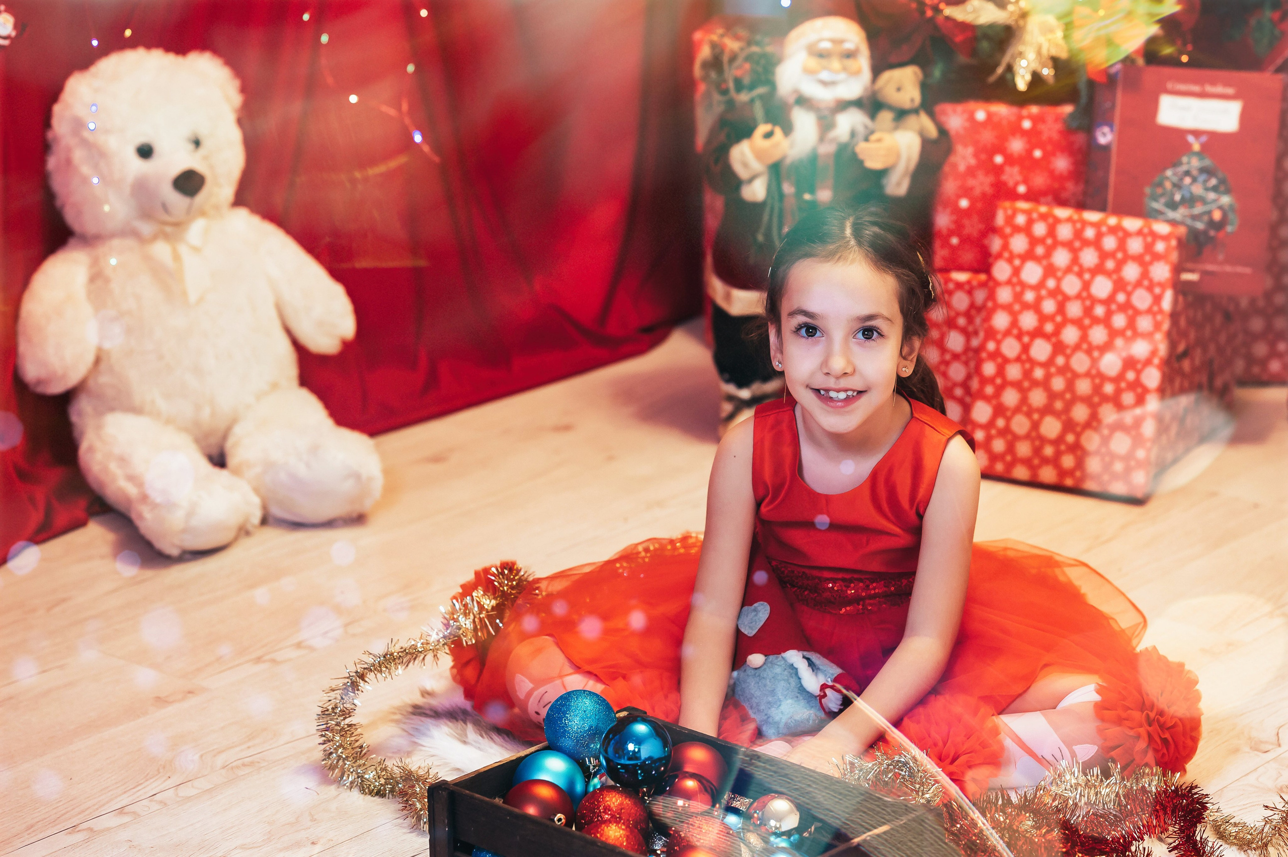 Sedinta Craciun Sofia