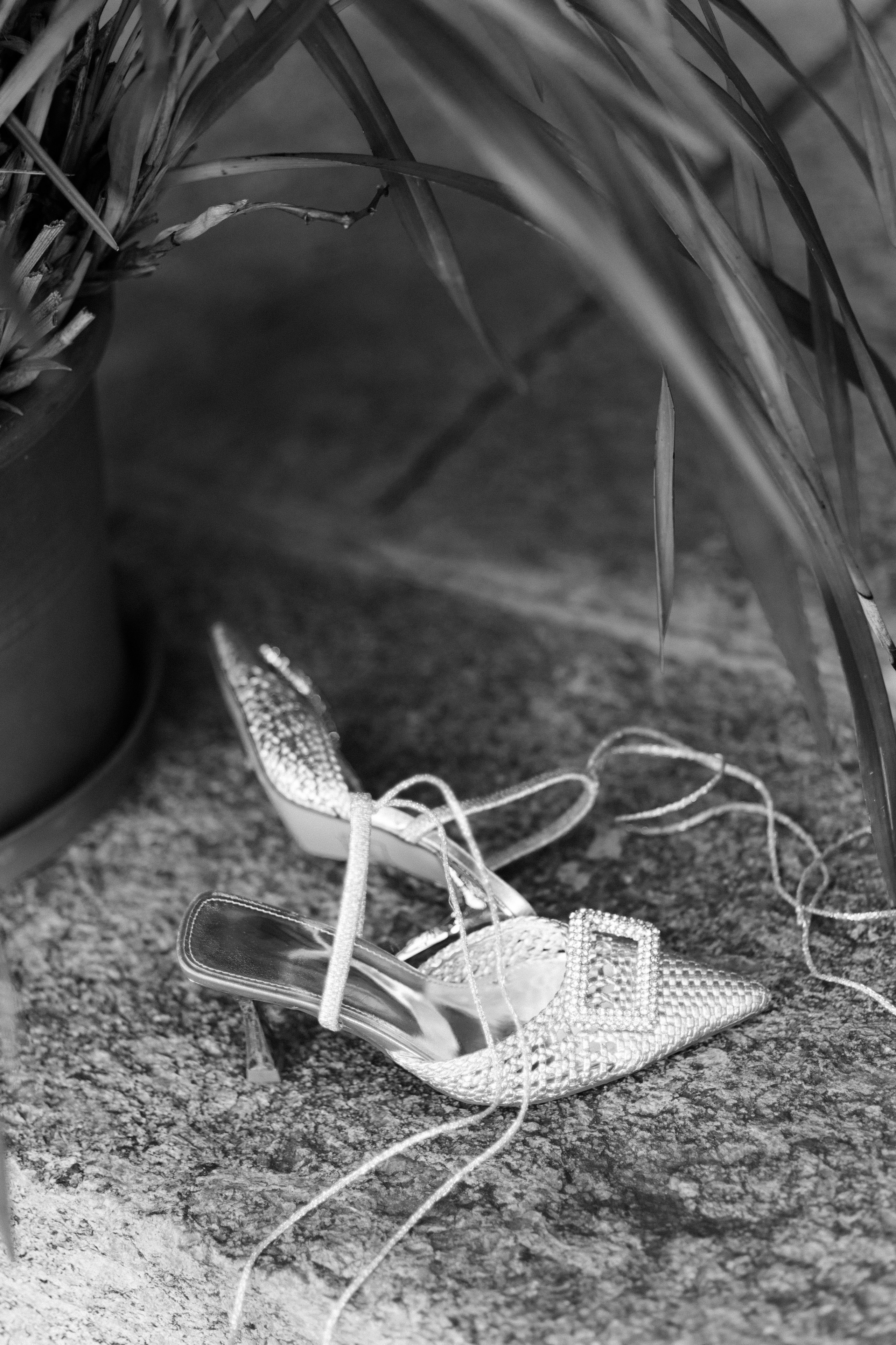 Rada & Vlad | Tremezzo. Liza Bizzaro — Italy Wedding, Love Story & Portrait Photographer in Milan, Turin, Piedmont and Across Italy