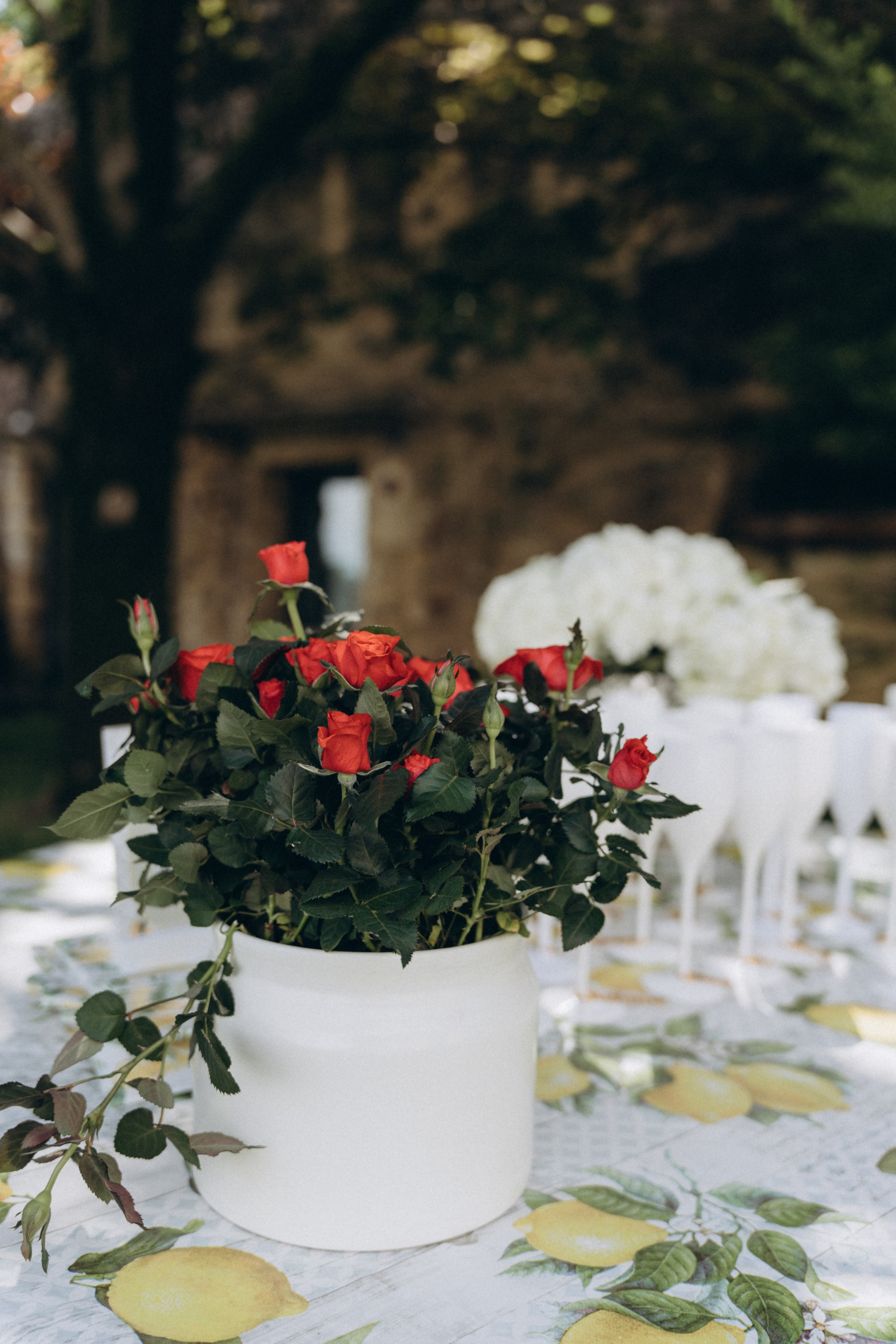 JENNIE & JASPAR • Verona. PHOTOGRAPHER IN ITALY