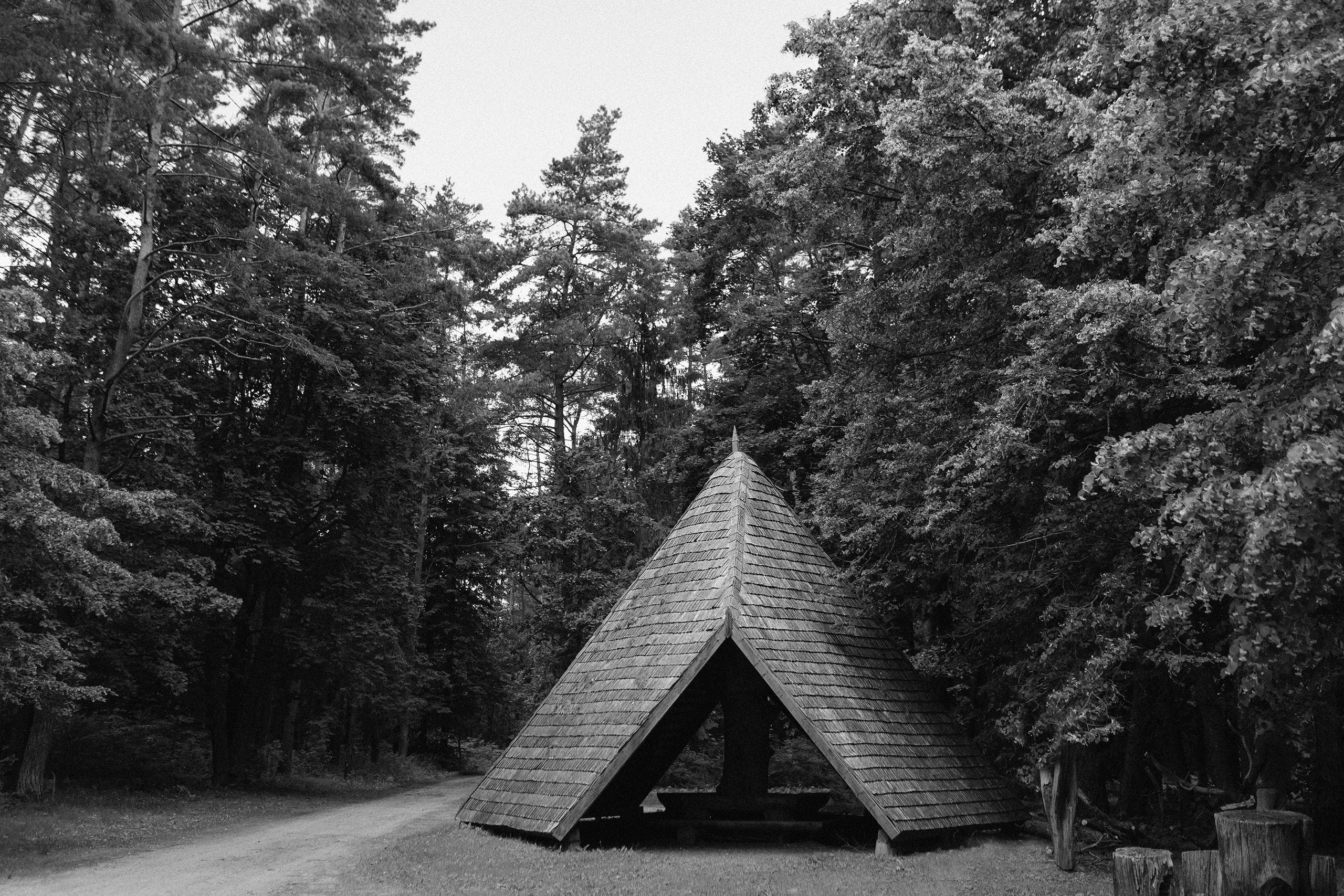 Emilija ir Gabrielius | Vestuvės gamtoje. Vestuvių fotografe Lietuvoje ir Italijoje — Ana Stočkūnė