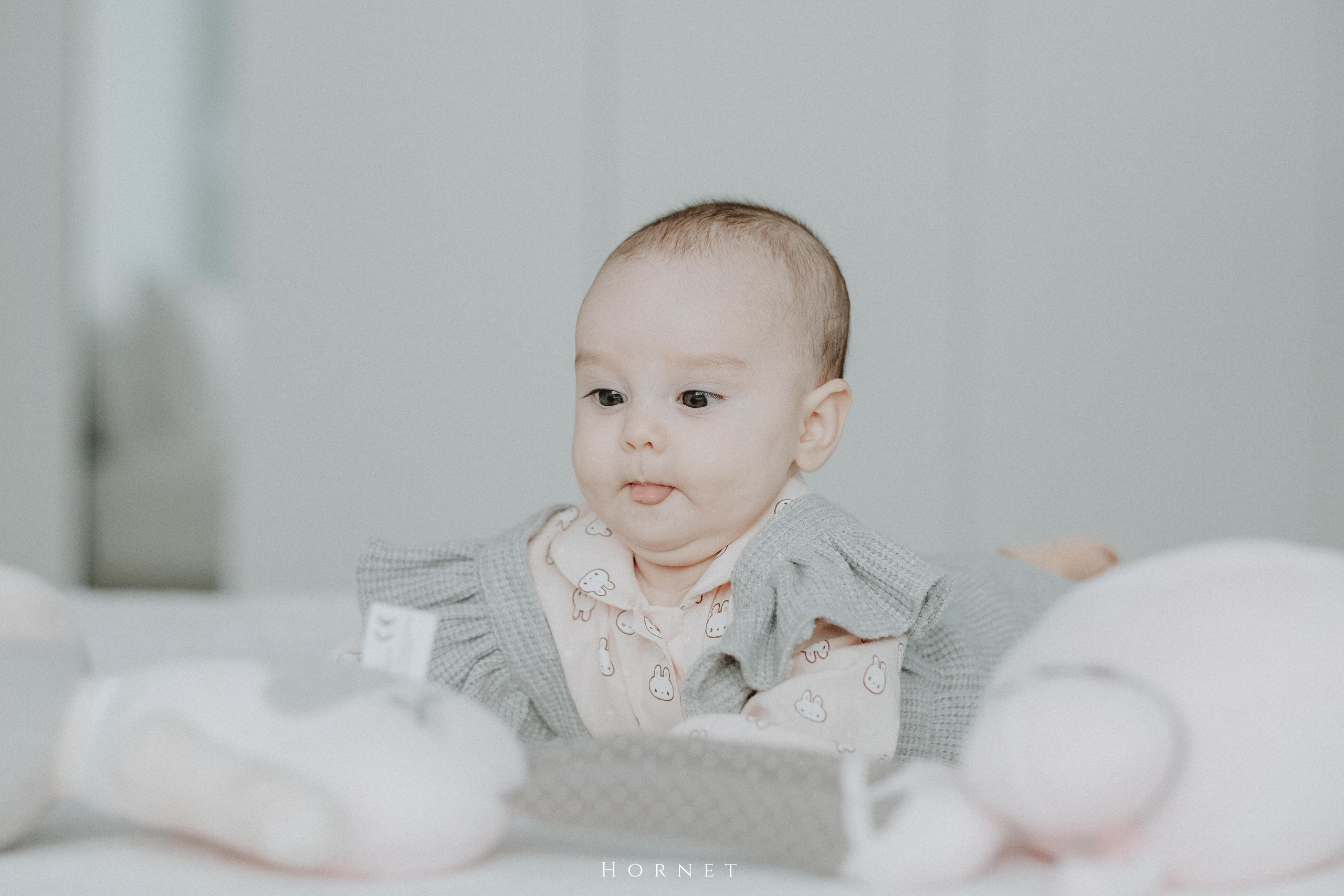 Amelia. Hornetart