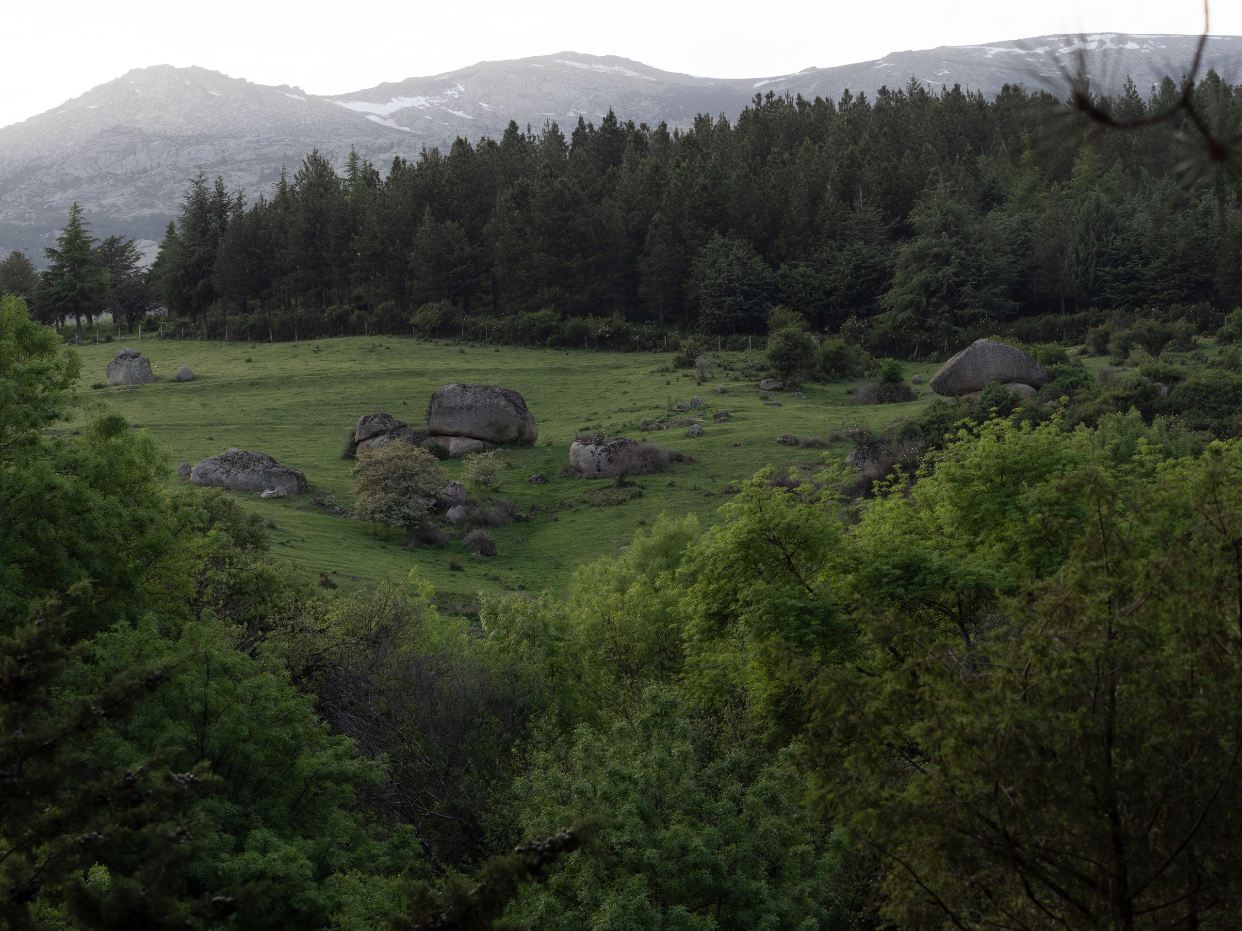 Paisajismo. Fotógrafa de Periodismo y Documentación, Teatro, Cine, Shooting para Modelos, Bodas, Bautizos, Comuniones, Familia y Eventos