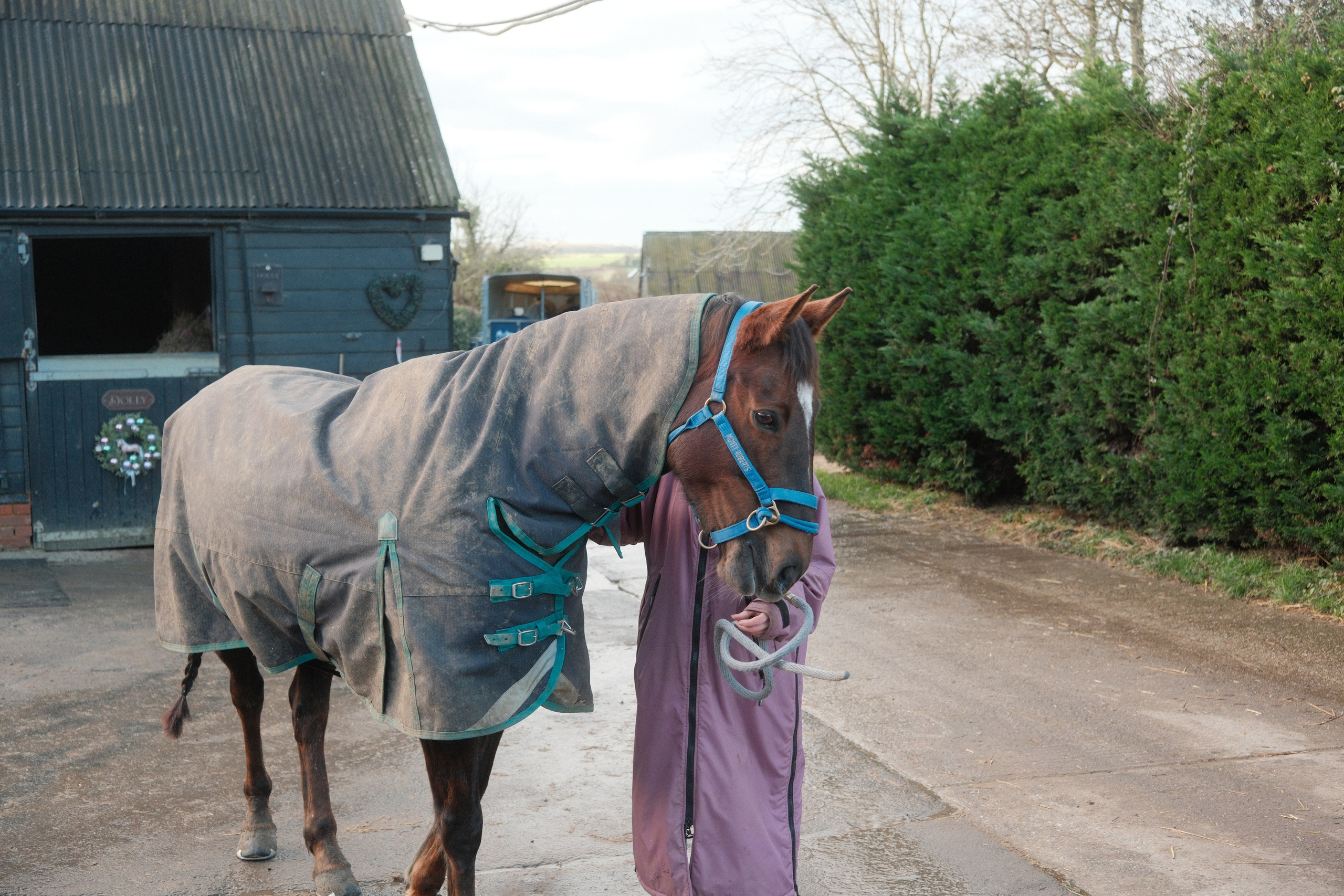 Portrait photography with Fudge the horse. Cal Takes Photos