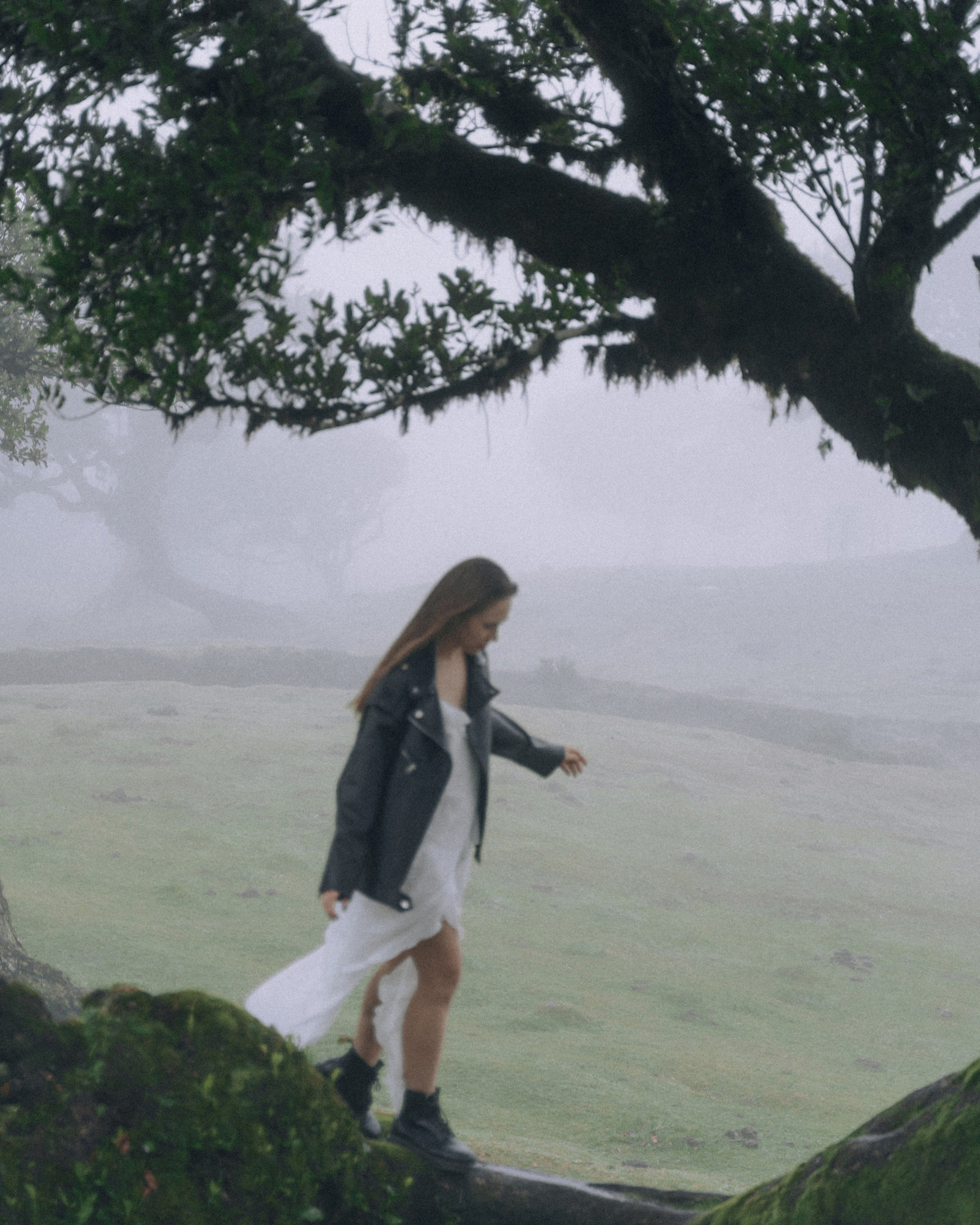Proposal Photoshoot in Madeira | Stanislav & Katya, Fanal Forest. Your photographer in Madeira