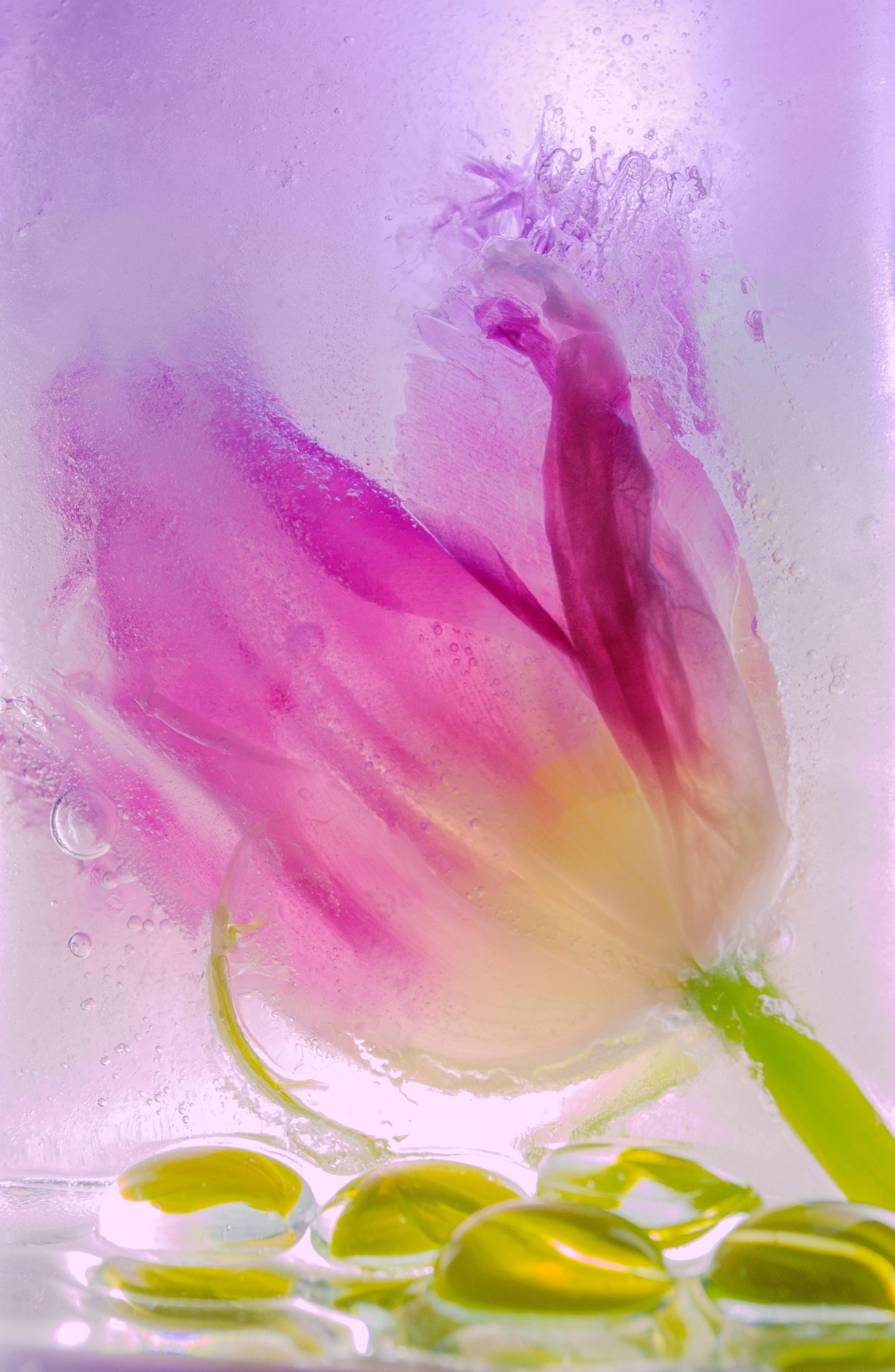 Lucrările cursanților Nivelului I. Școala de fotografie lui Roman Ribaliov. Orașul Chișinău, Moldova