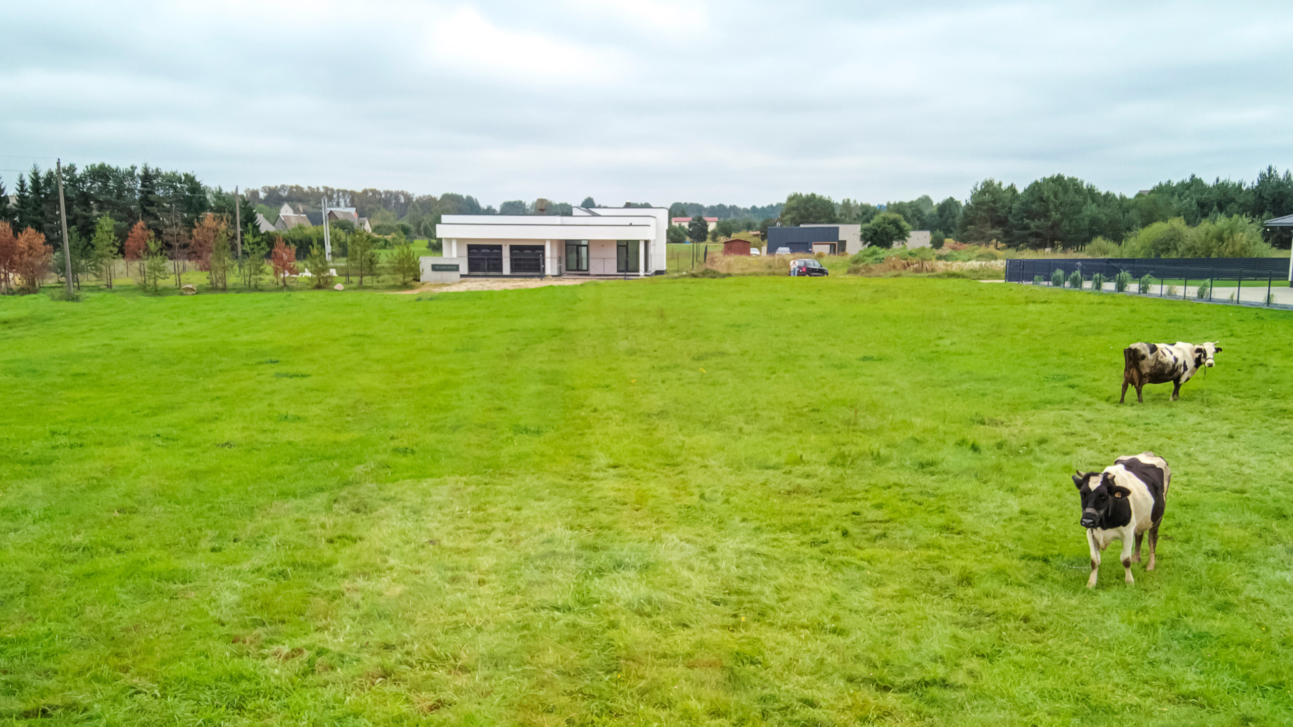 Kranto, 14, Bezdonys. Elina Sapiega fotografė Vilniuje