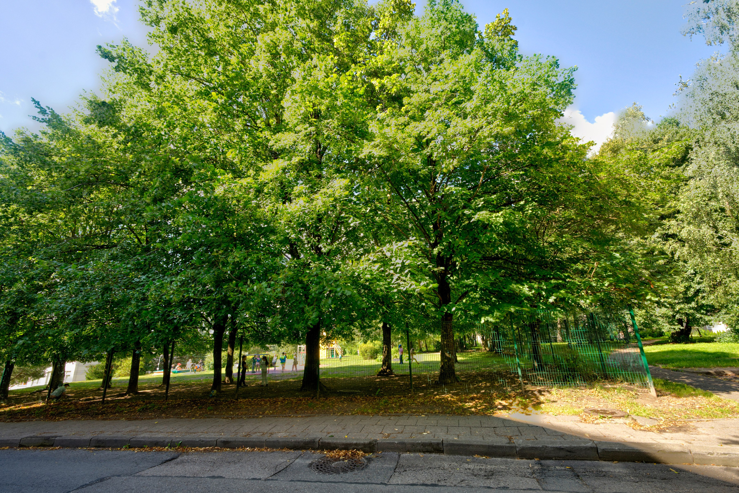 Gabijos g. Elina Sapiega fotografė Vilniuje