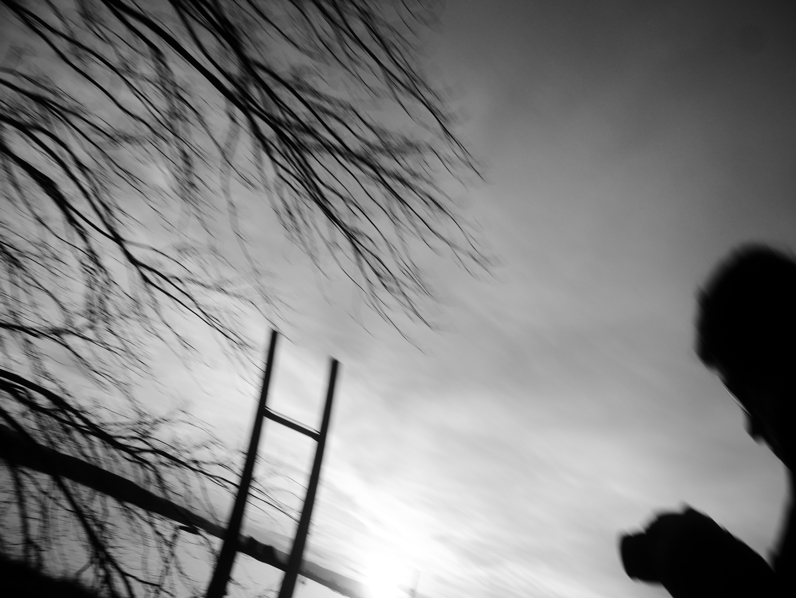 Demyd — art collection