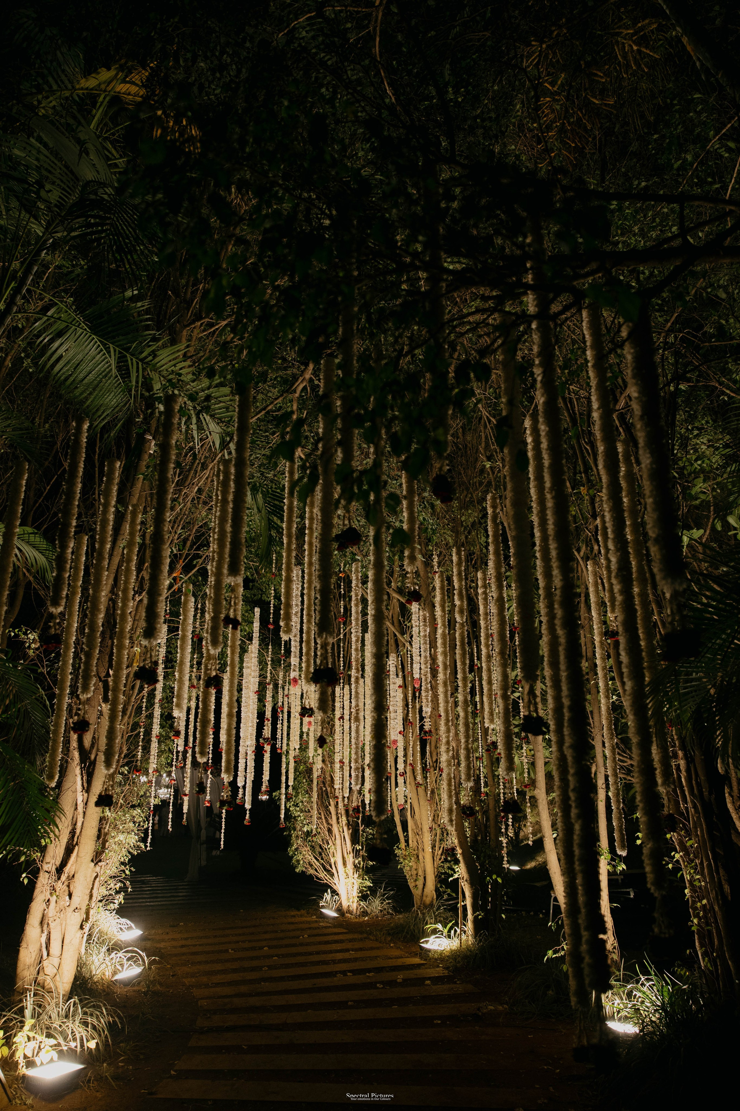 Tejas & Roopa | A Degree in Love, Certified by Marriage