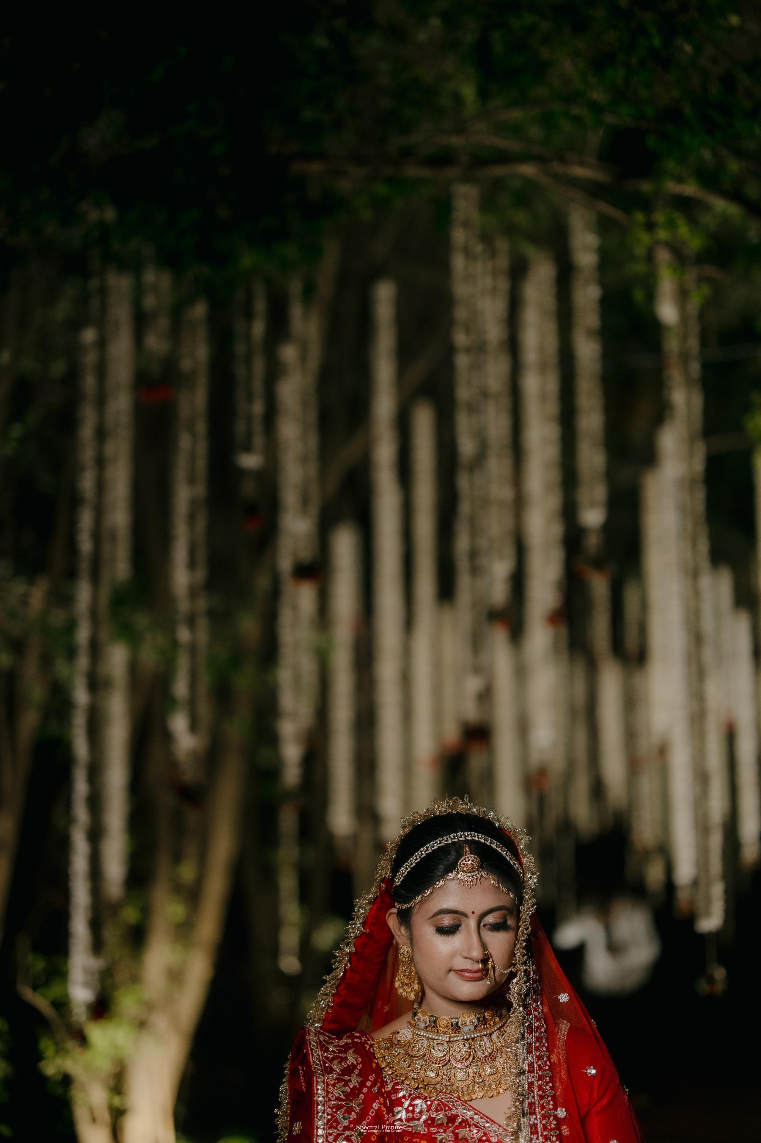 Tejas & Roopa | A Degree in Love, Certified by Marriage