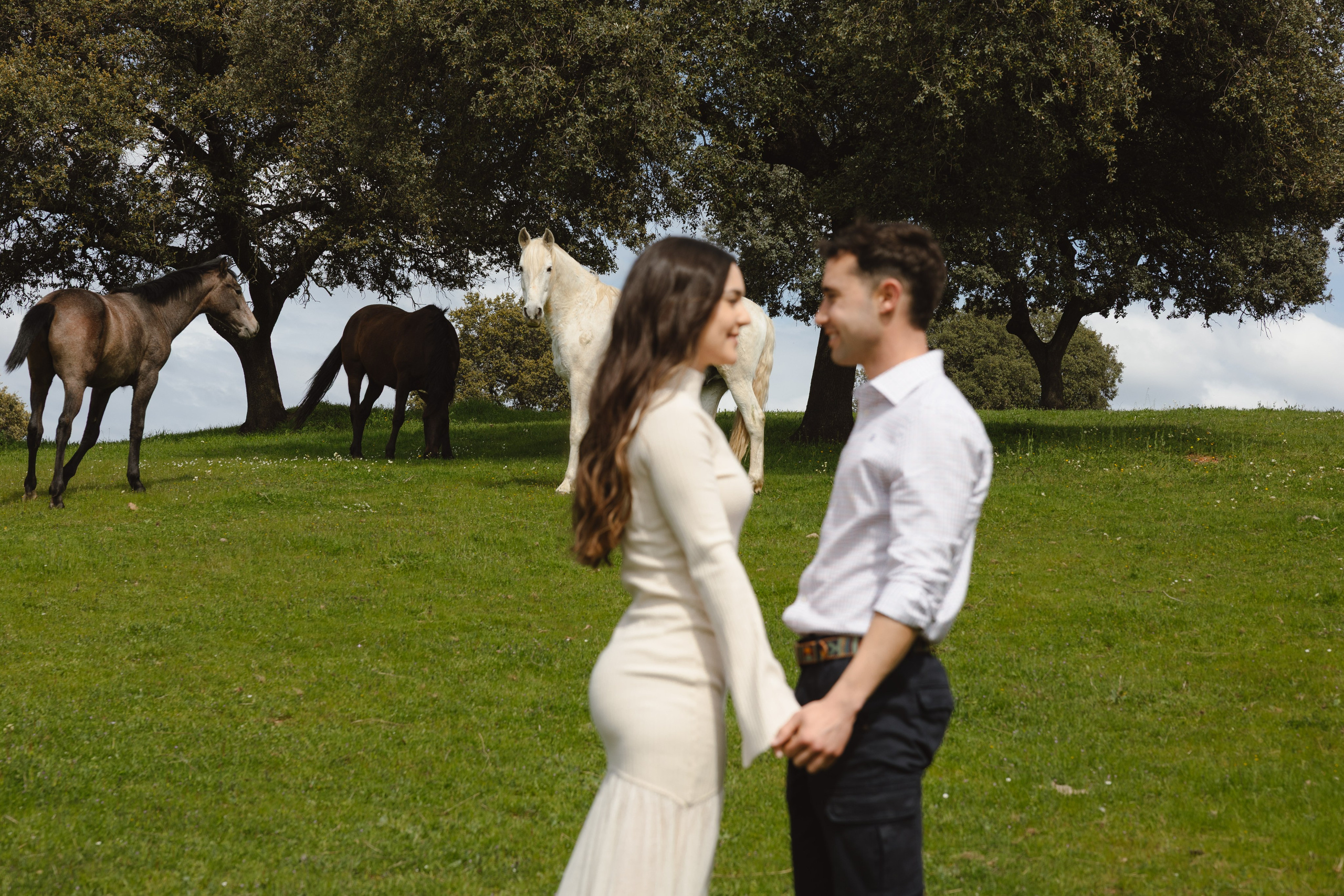 PREBODA EN UNA GANADERÍA DE TOROS. Fotógrafo y Videógrafo de bodas y eventos