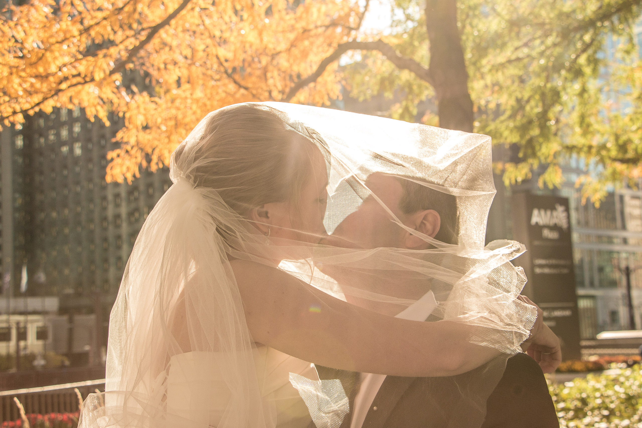 Family Stories. Elina Ava — Family and Portrait Photographer in NW Suburbs of Chicago