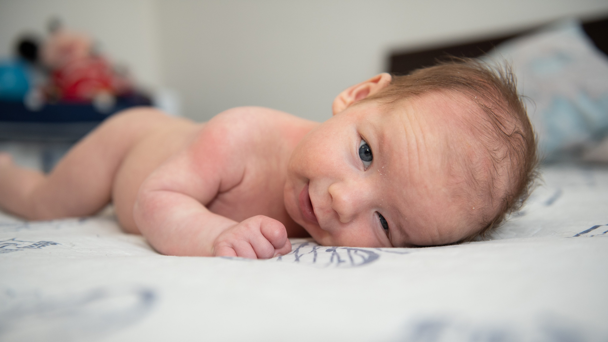 Denis Andrei. Daniel Rotaru Photography