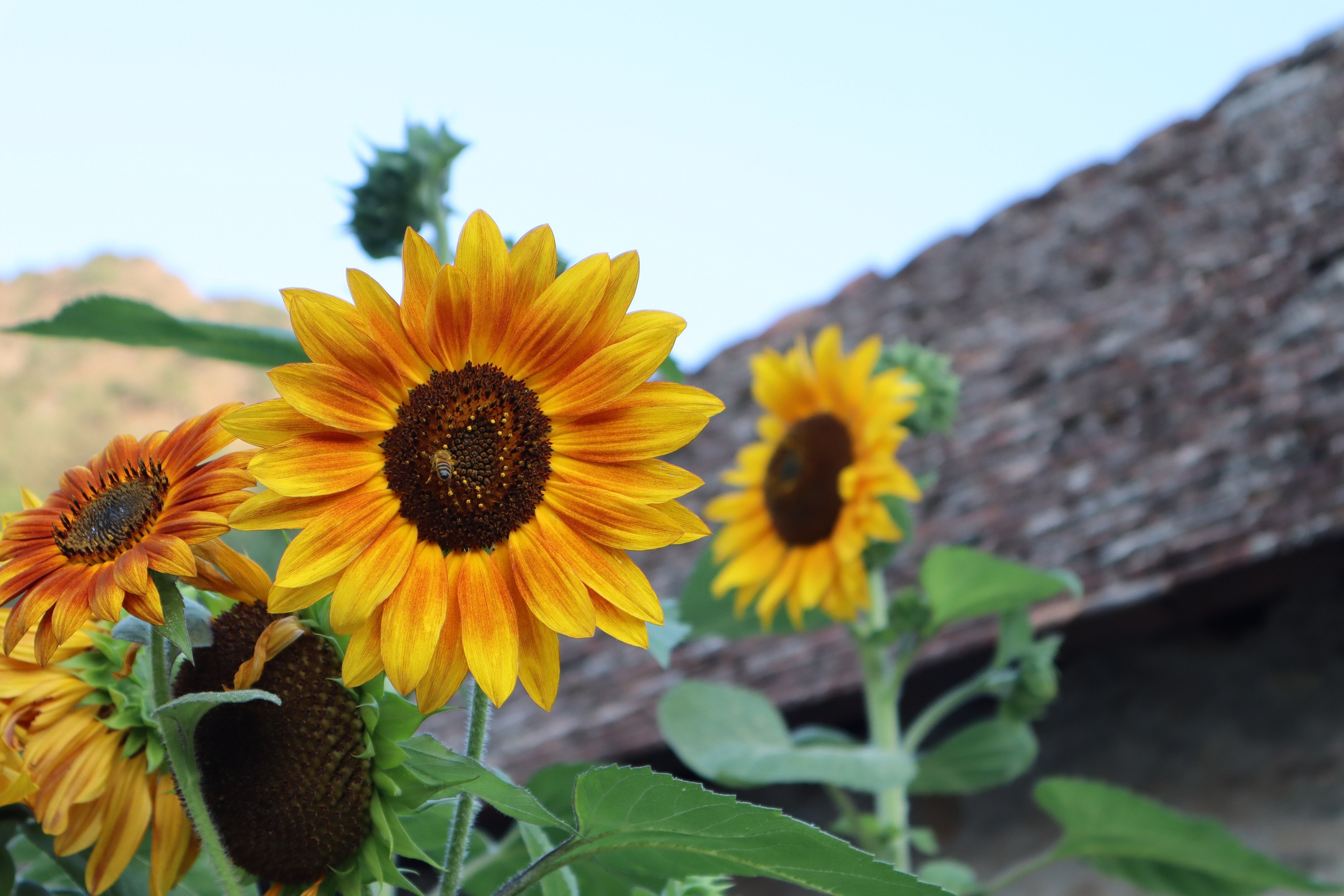 Travel photographer Ksenia