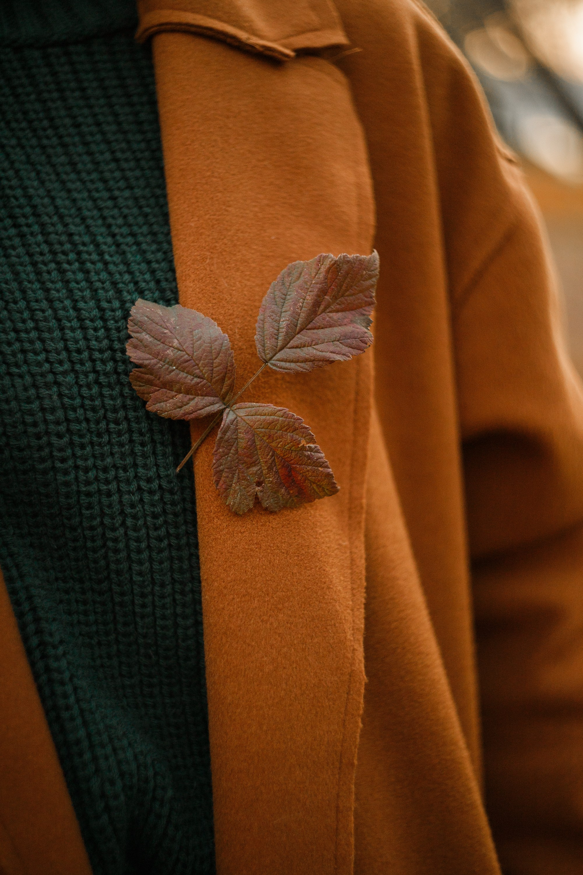 Polina. Kaja | fotograf psów we Wrocławiu