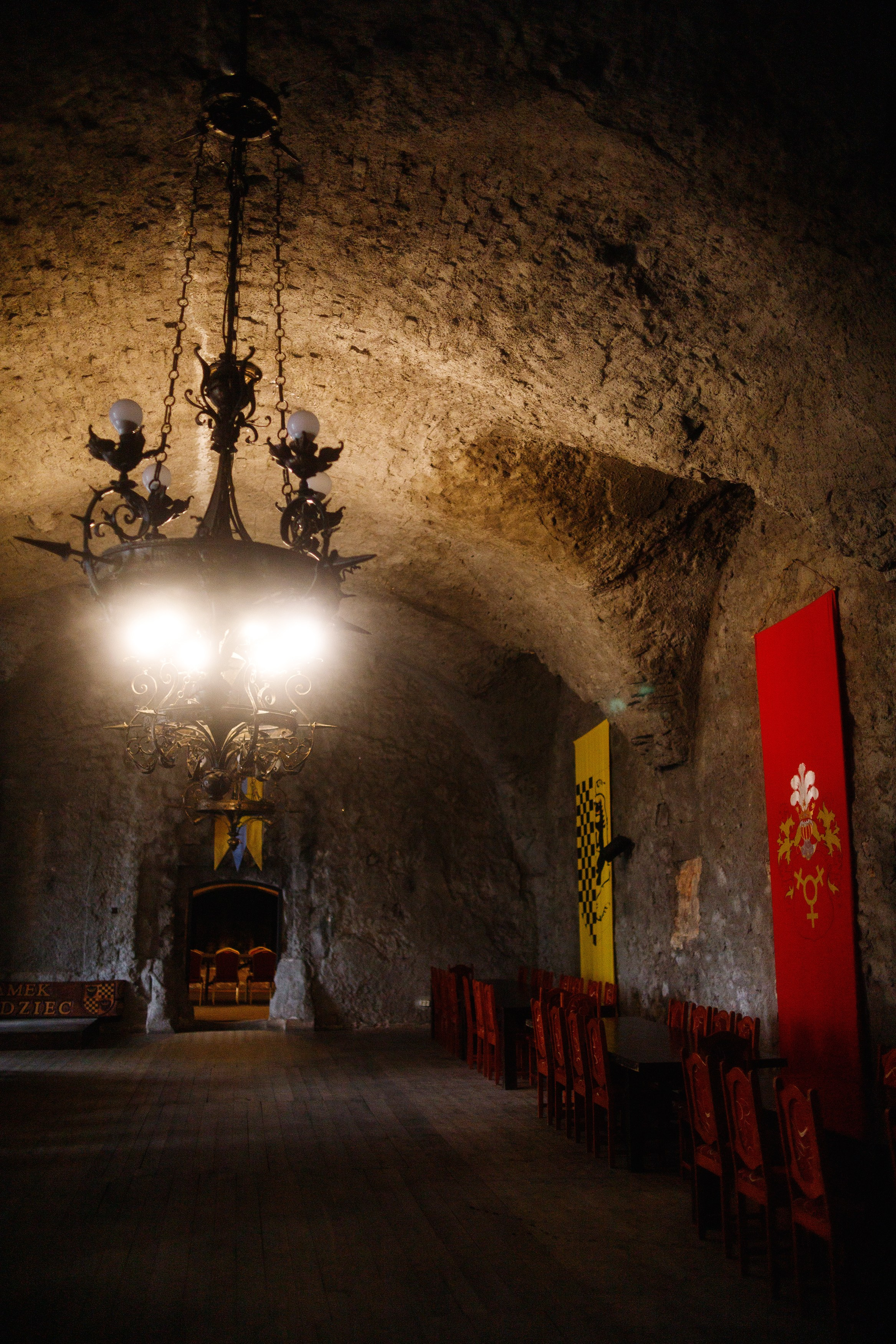 Zamek Grodziec. Kaja | fotograf psów we Wrocławiu