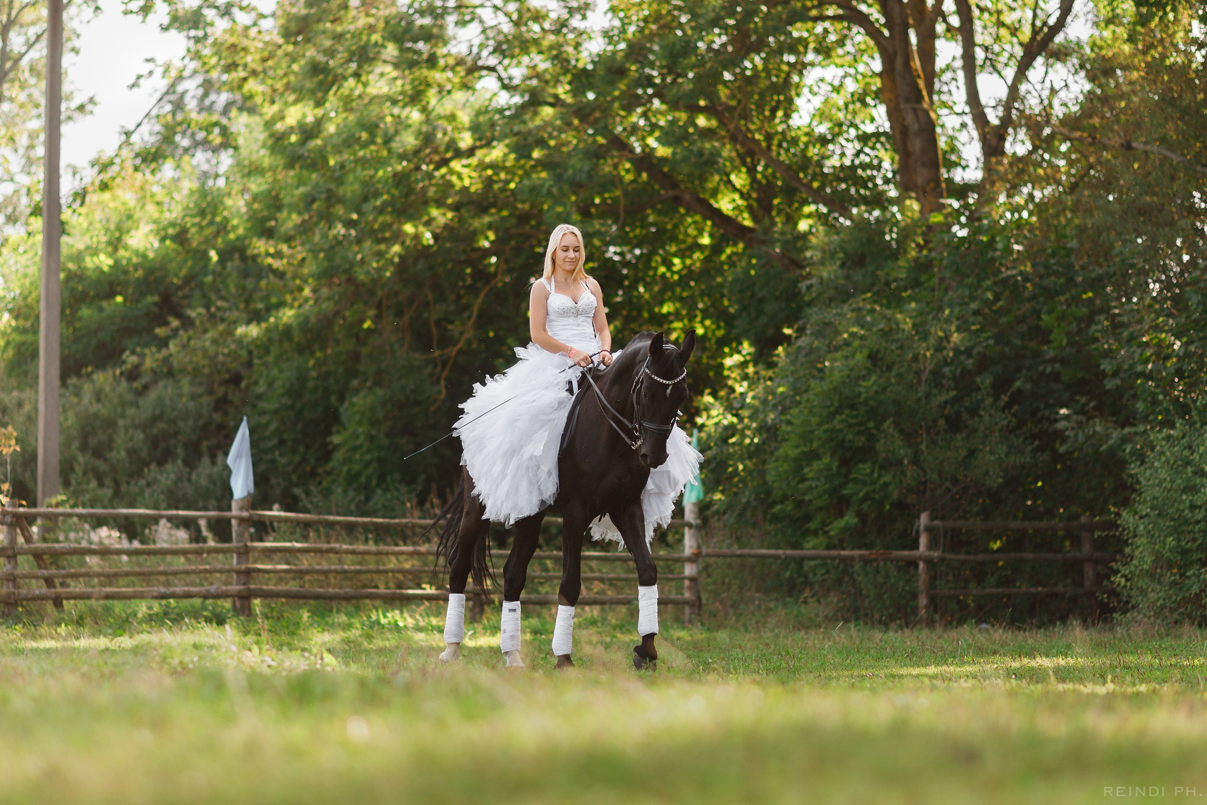 Horse show in the village. Kaja | fotograf we Wrocławiu | ludzie i psy